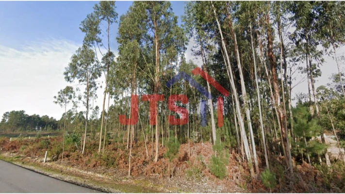 Terreno para Venda em Águeda e Borralha