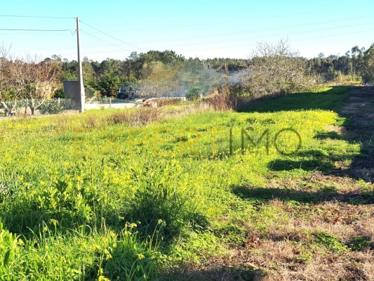 Terreno para Venda em Gaeiras