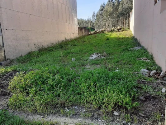 Terreno para Venda em São Mamede Coronado