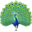 1f99a.png