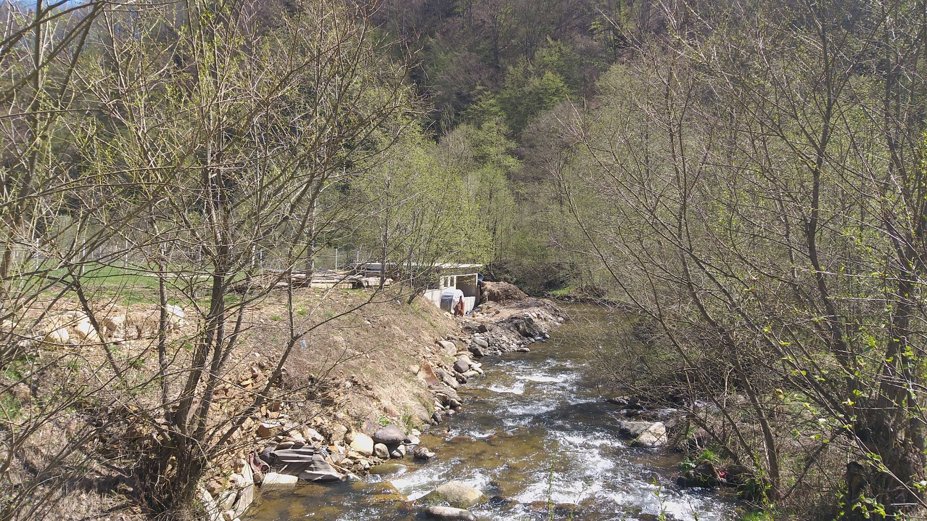 20190416_132725.jpg