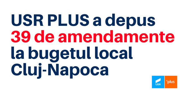 Amendamente-buget-2.png