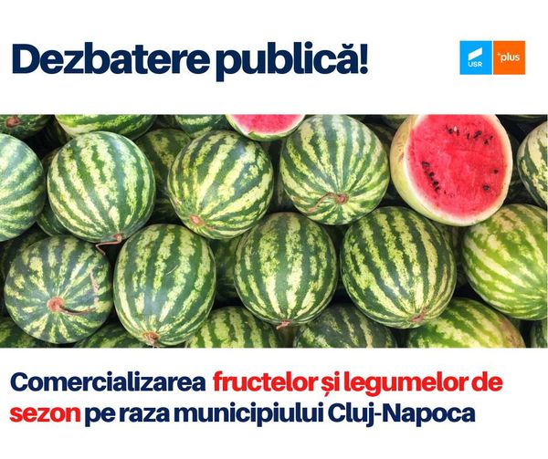 dezbatrere-publica.jpg
