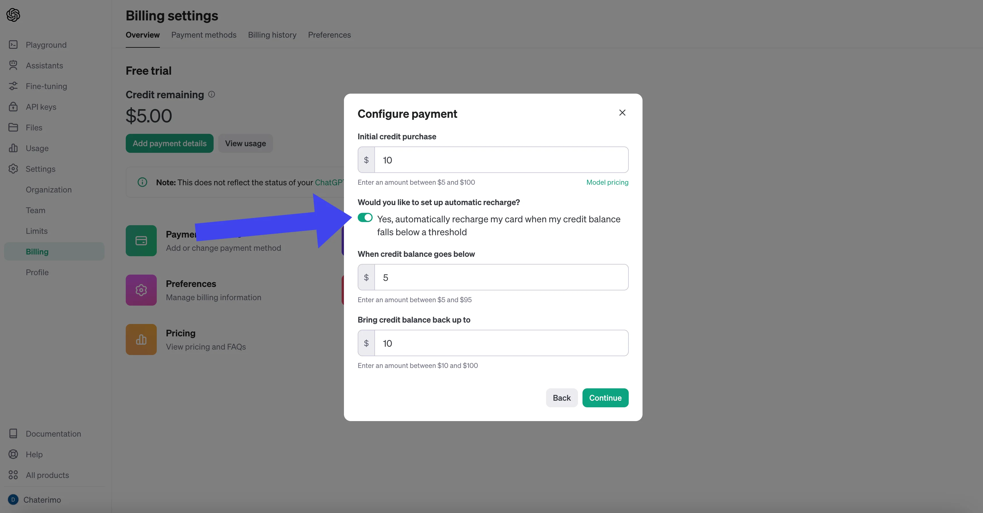 OpenAI billings site with update payments option