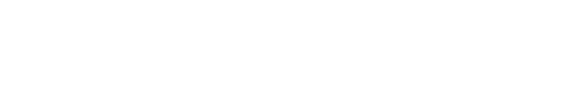 Brand 13