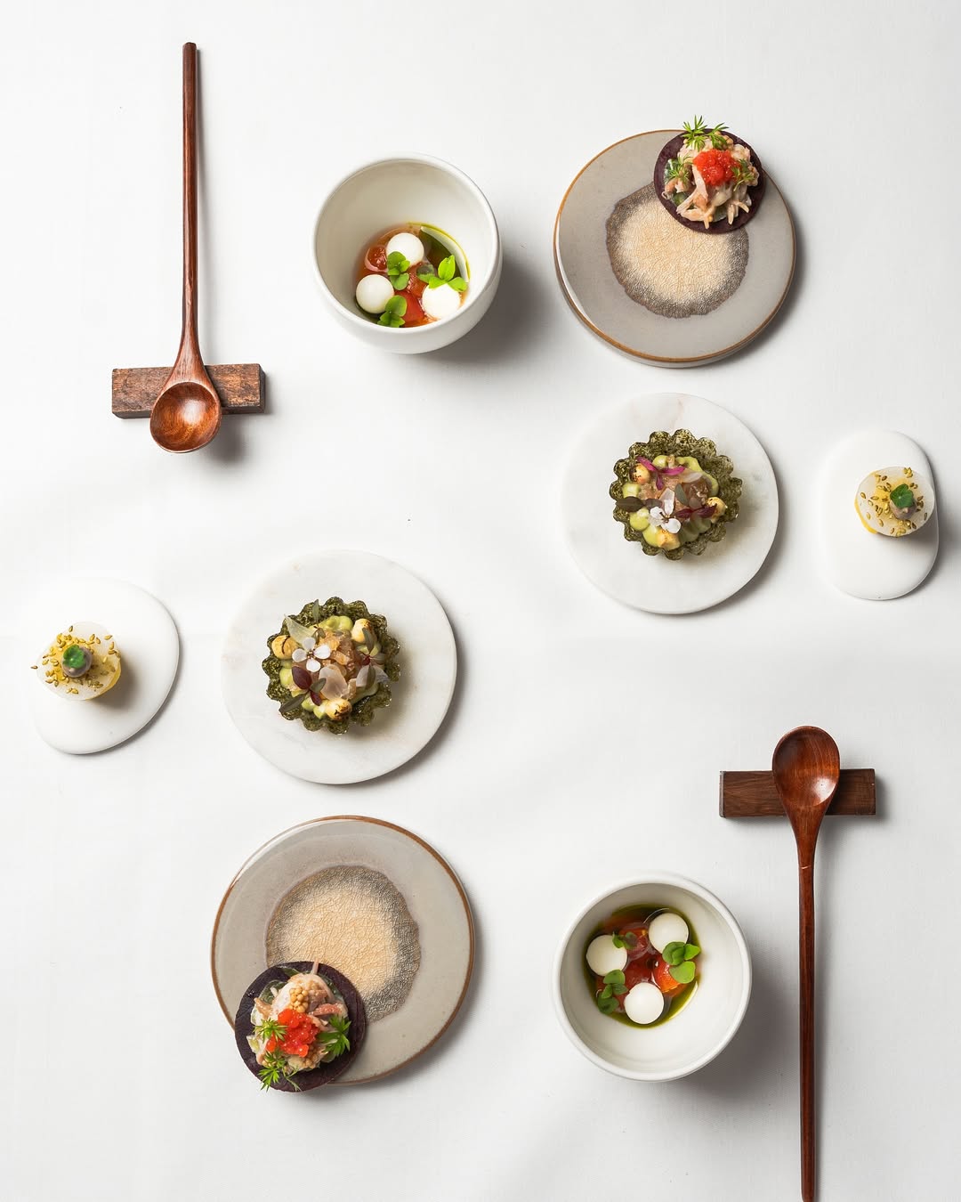 Dish