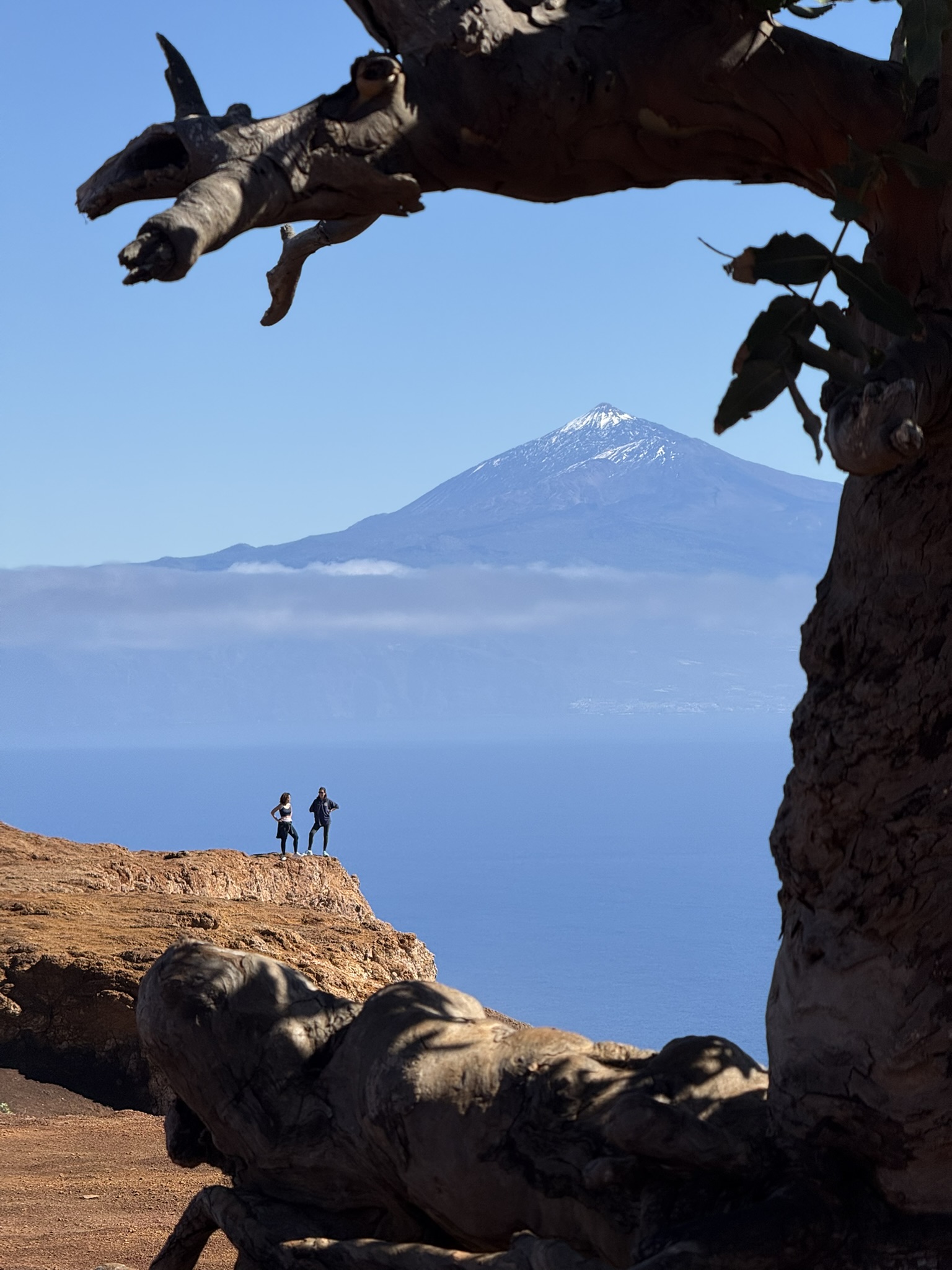 La Gomera a bocados: una ruta de 3 días