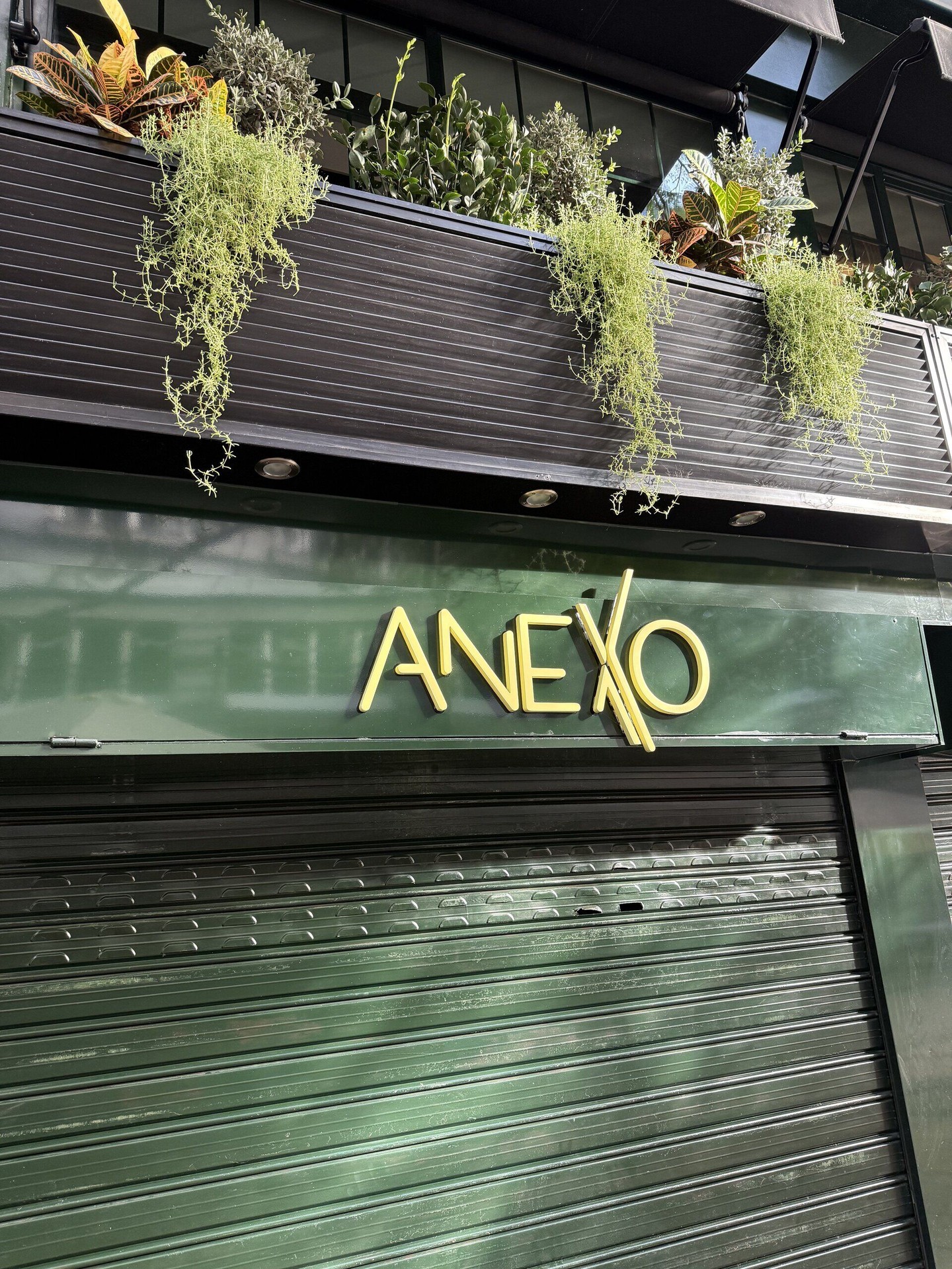 Anexo