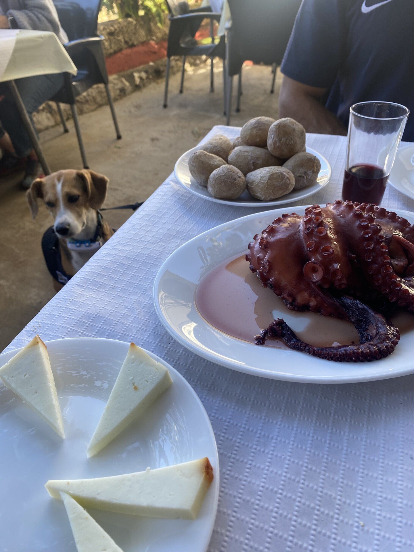 Las Galanas