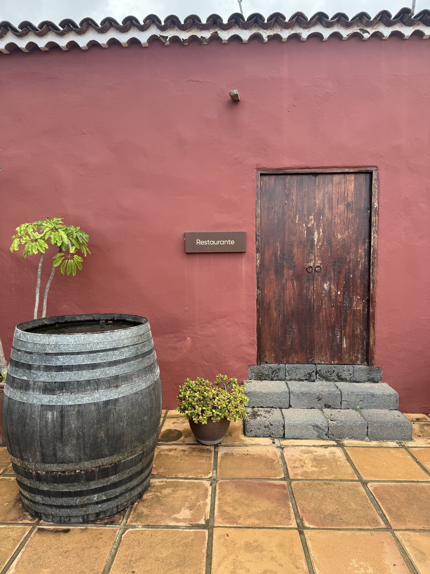 La Casa del Vino