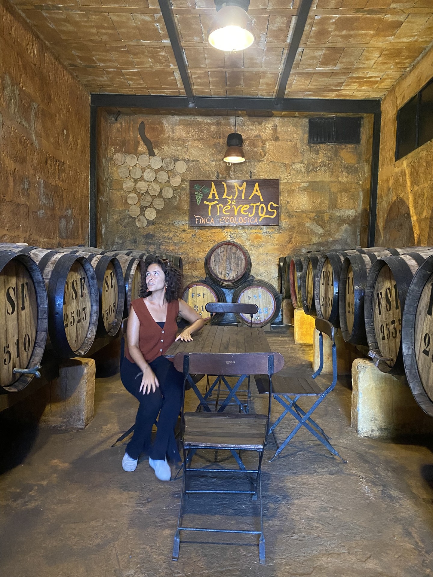 Alma de Trevejos