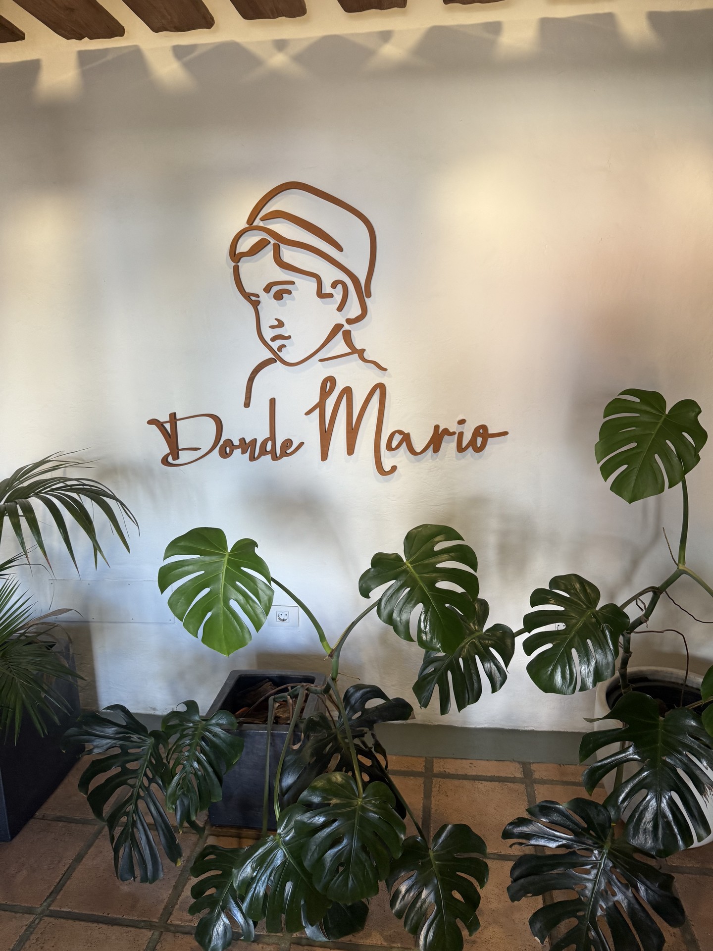 Donde Mario