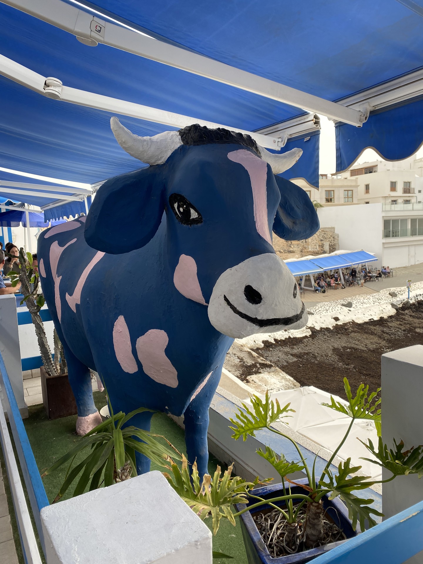 La vaca azul