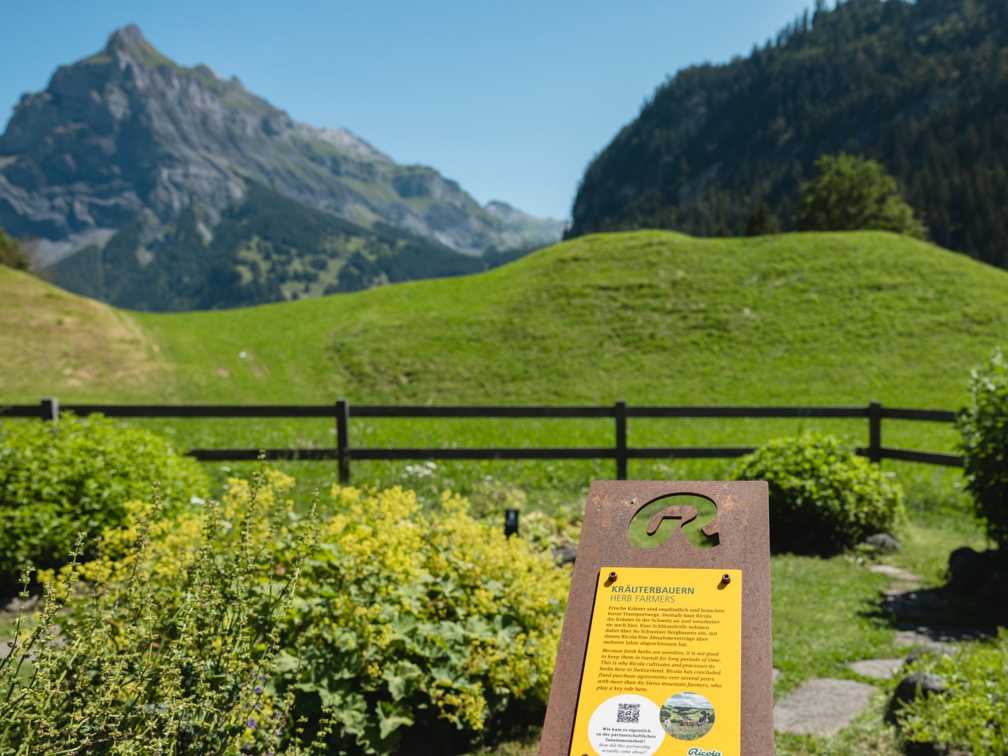 Ricola Bitki Bahçesine Zermatt yakınlarında nasıl gidilir?