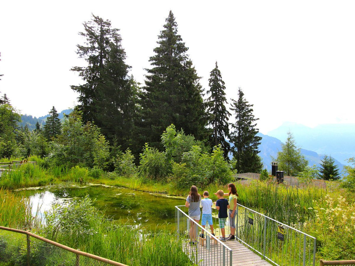 Rigi Kaltbad Biotop Kinderspielplatz