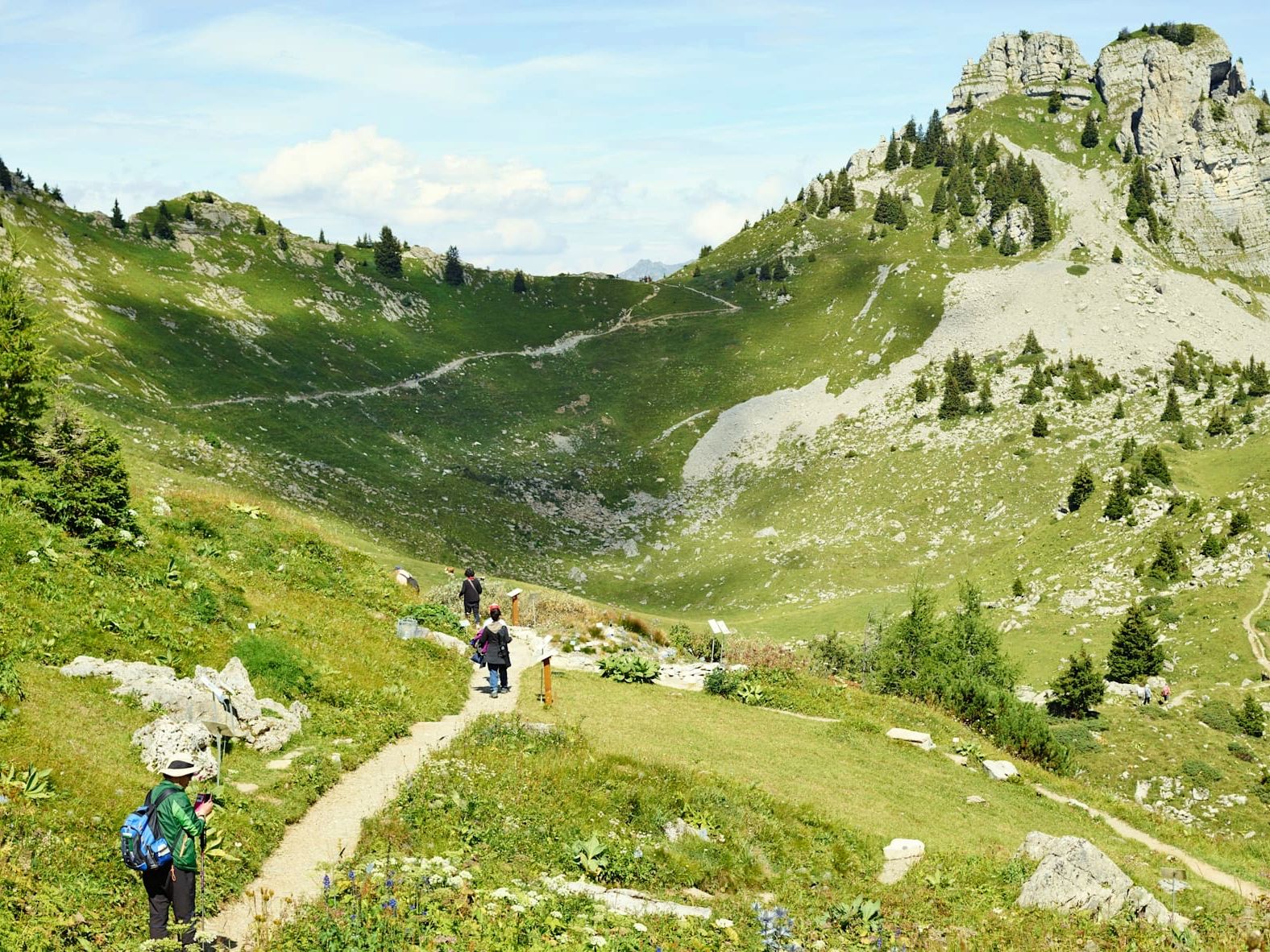 Schynige Platte Oberberghorn