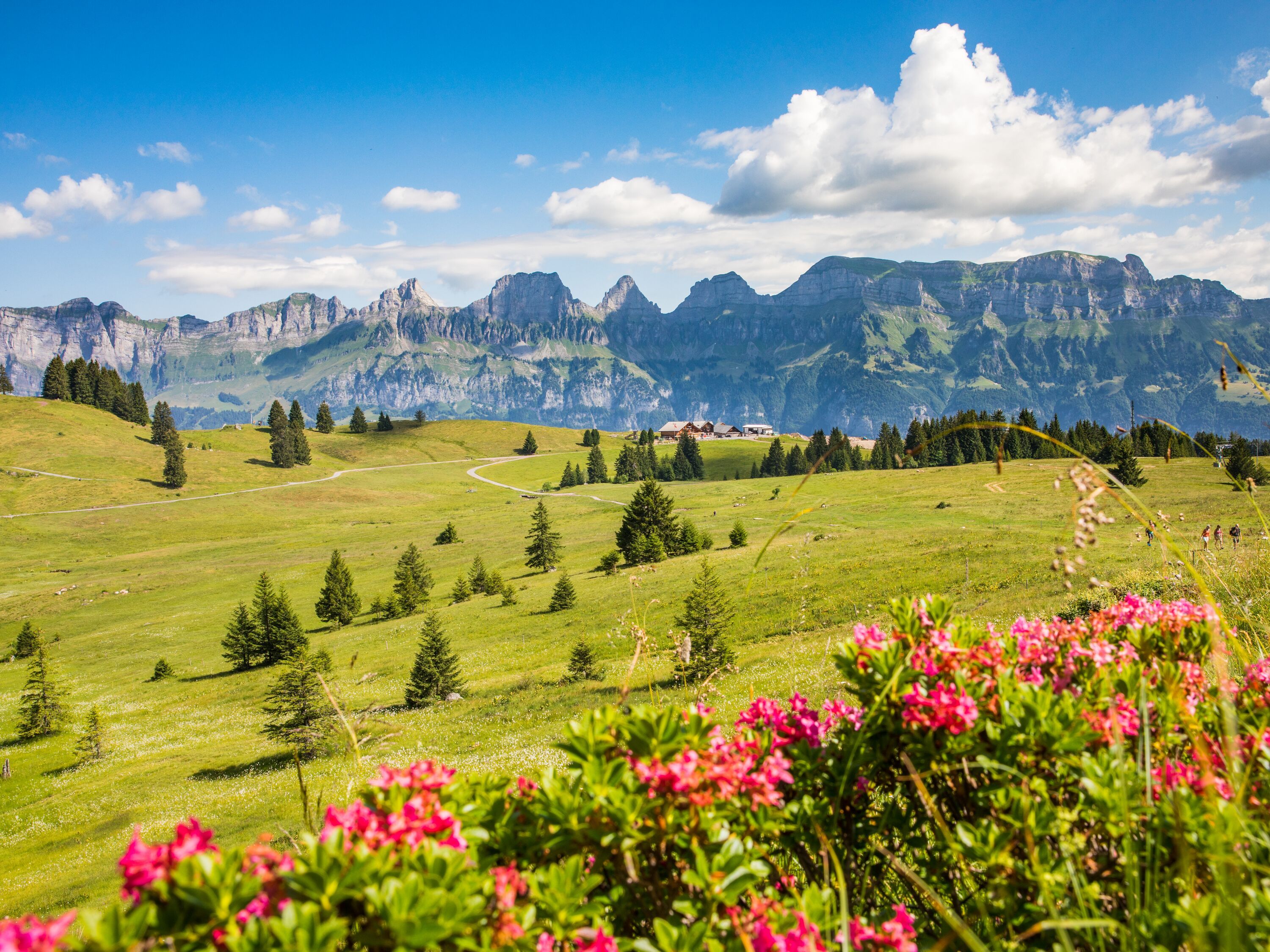 Sommer am Flumserberg