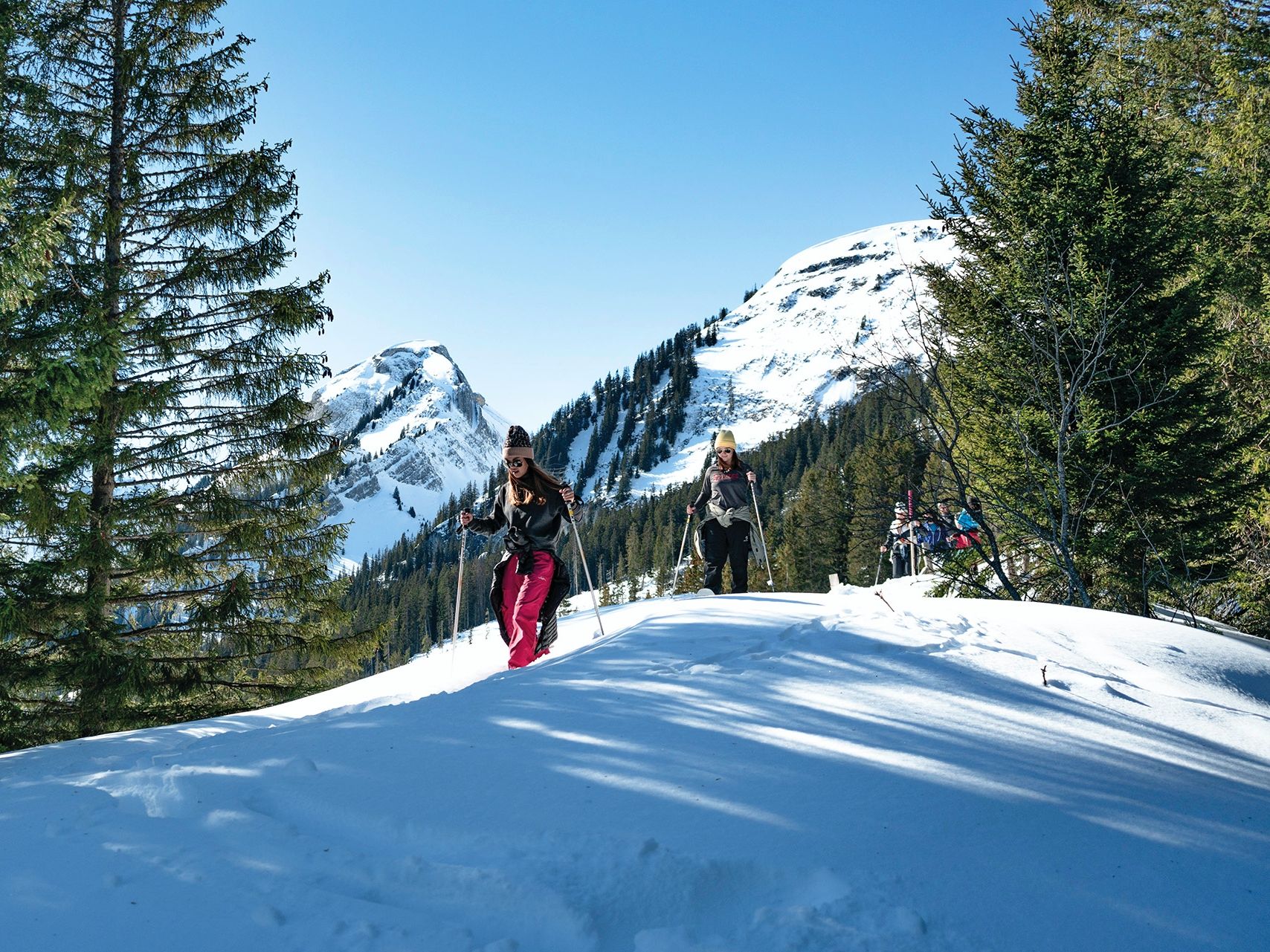 Schneeschuhwandern Schweiz