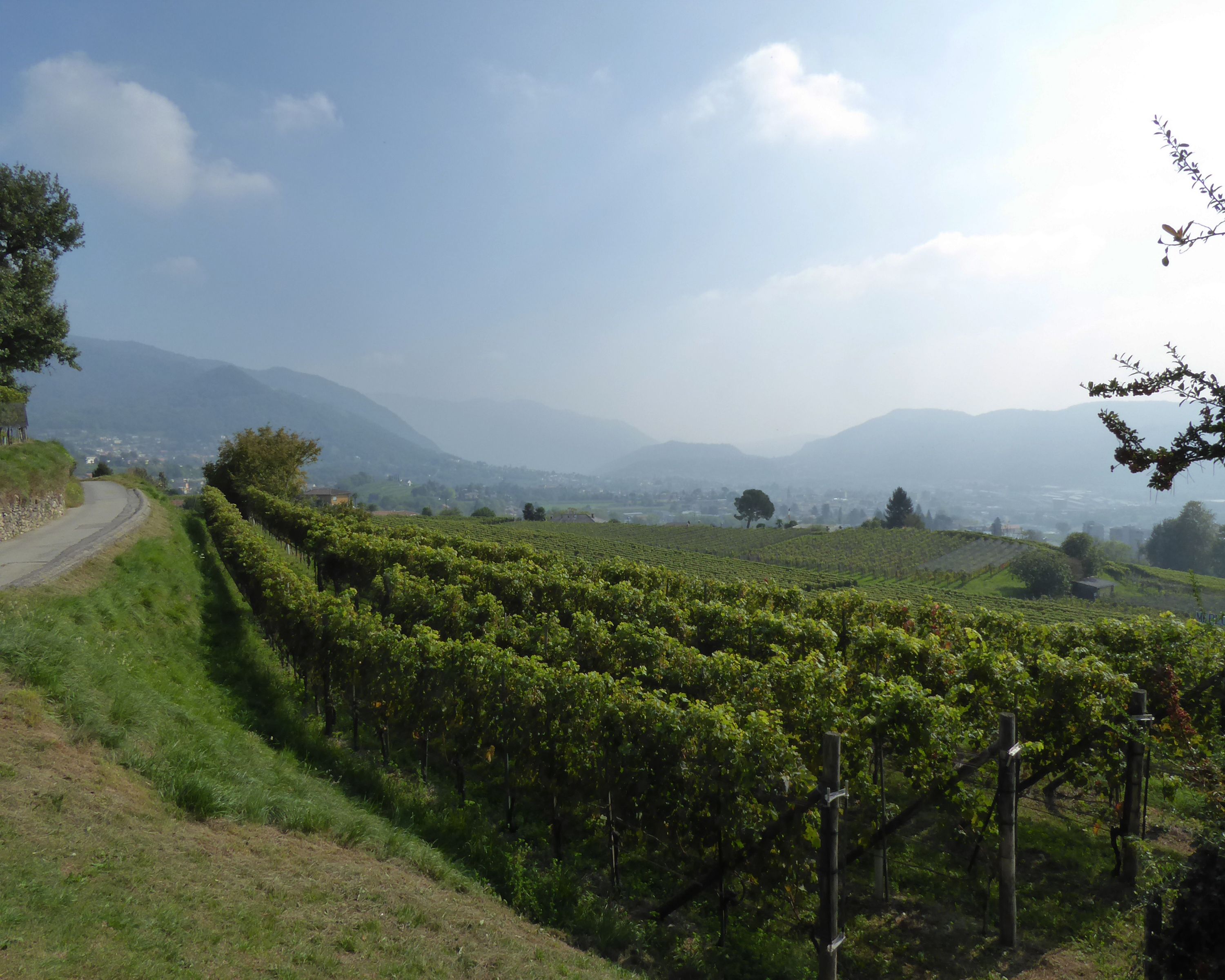 Wandern Schweiz