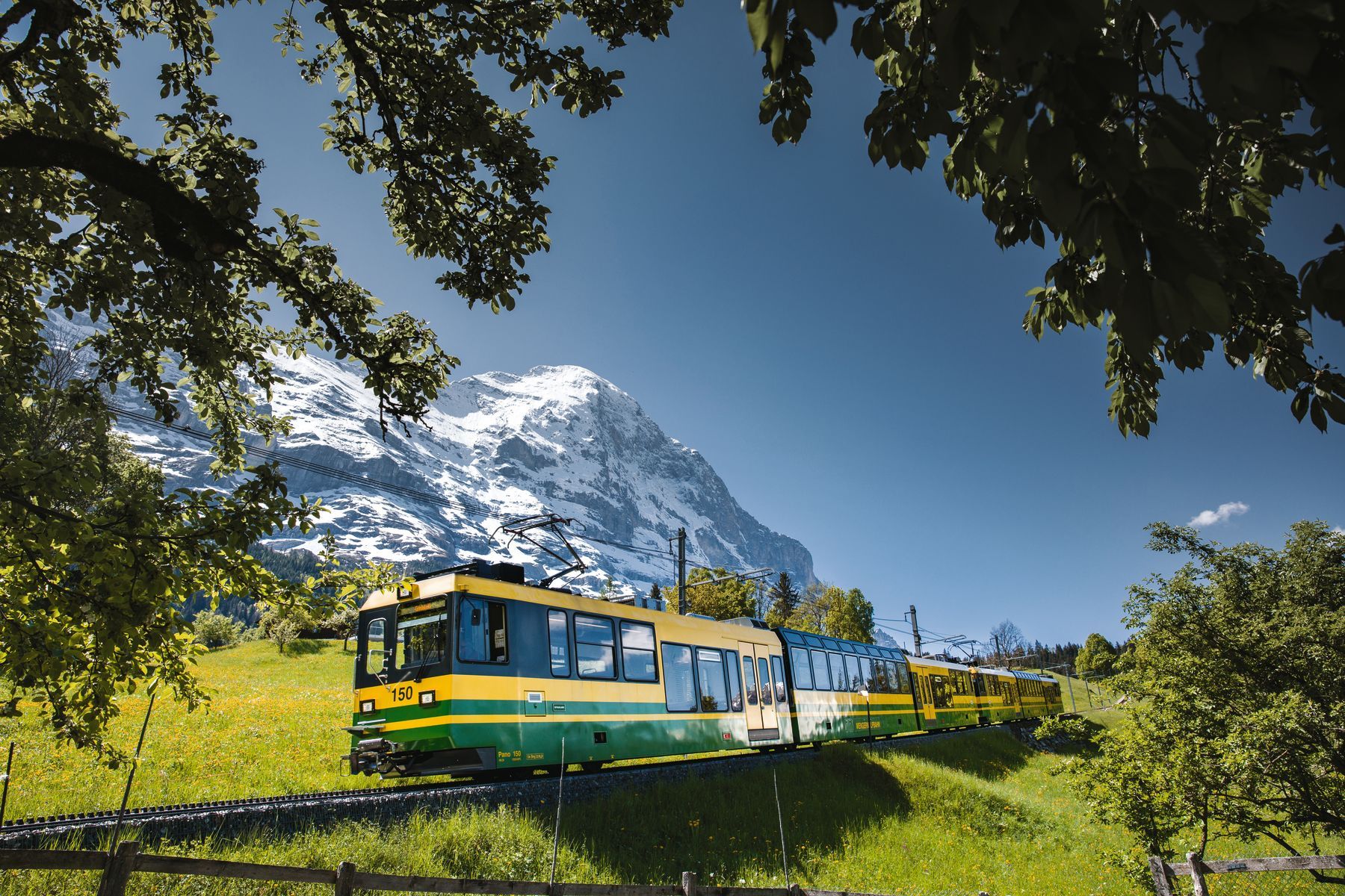 Kleine Scheidegg Wengernalpbahn
