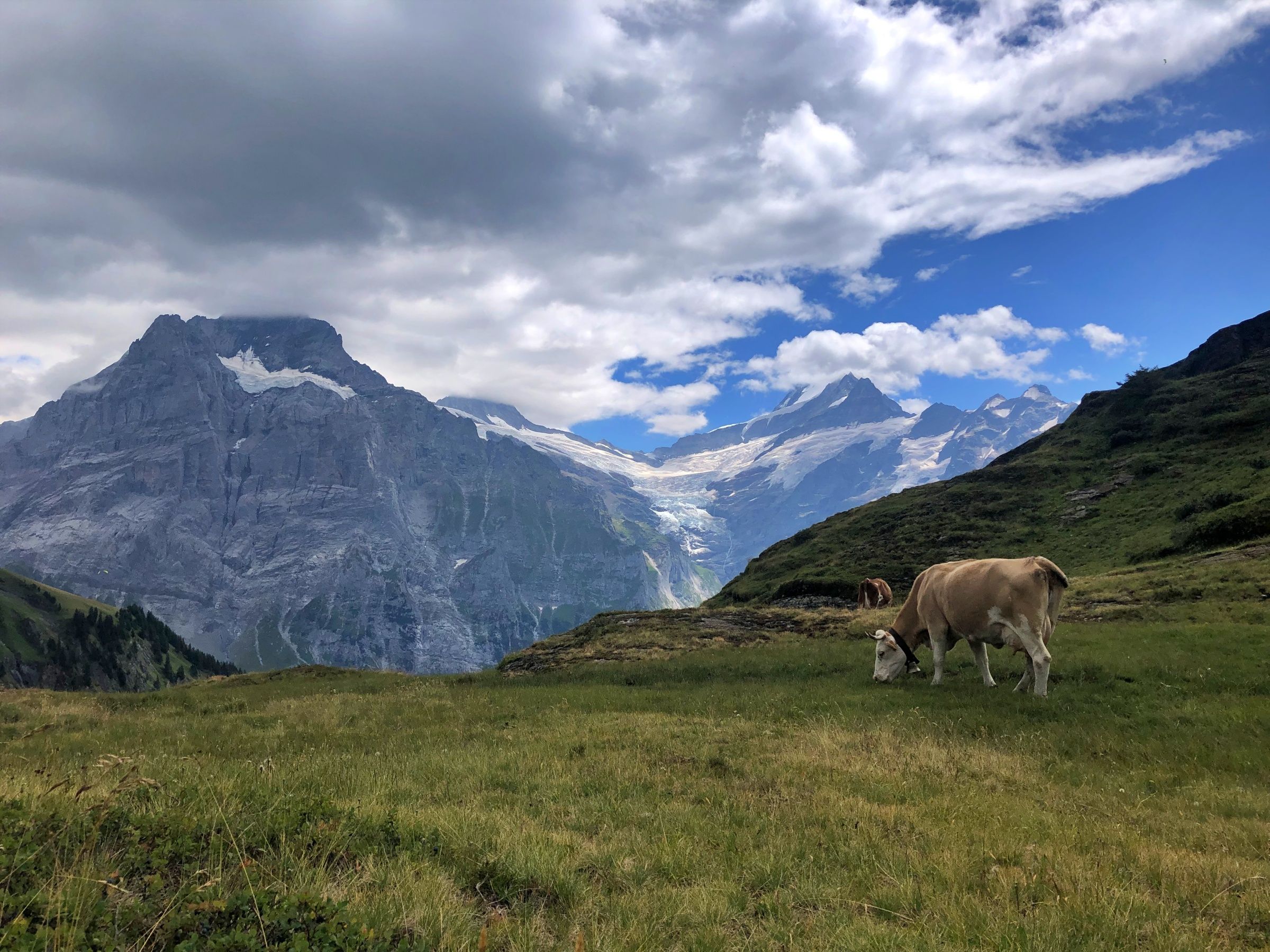 Bachalpsee Wanderung