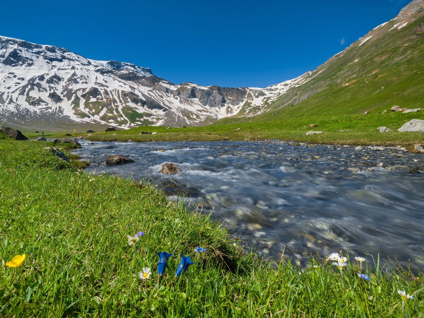 Adelboden Engstligenalp 