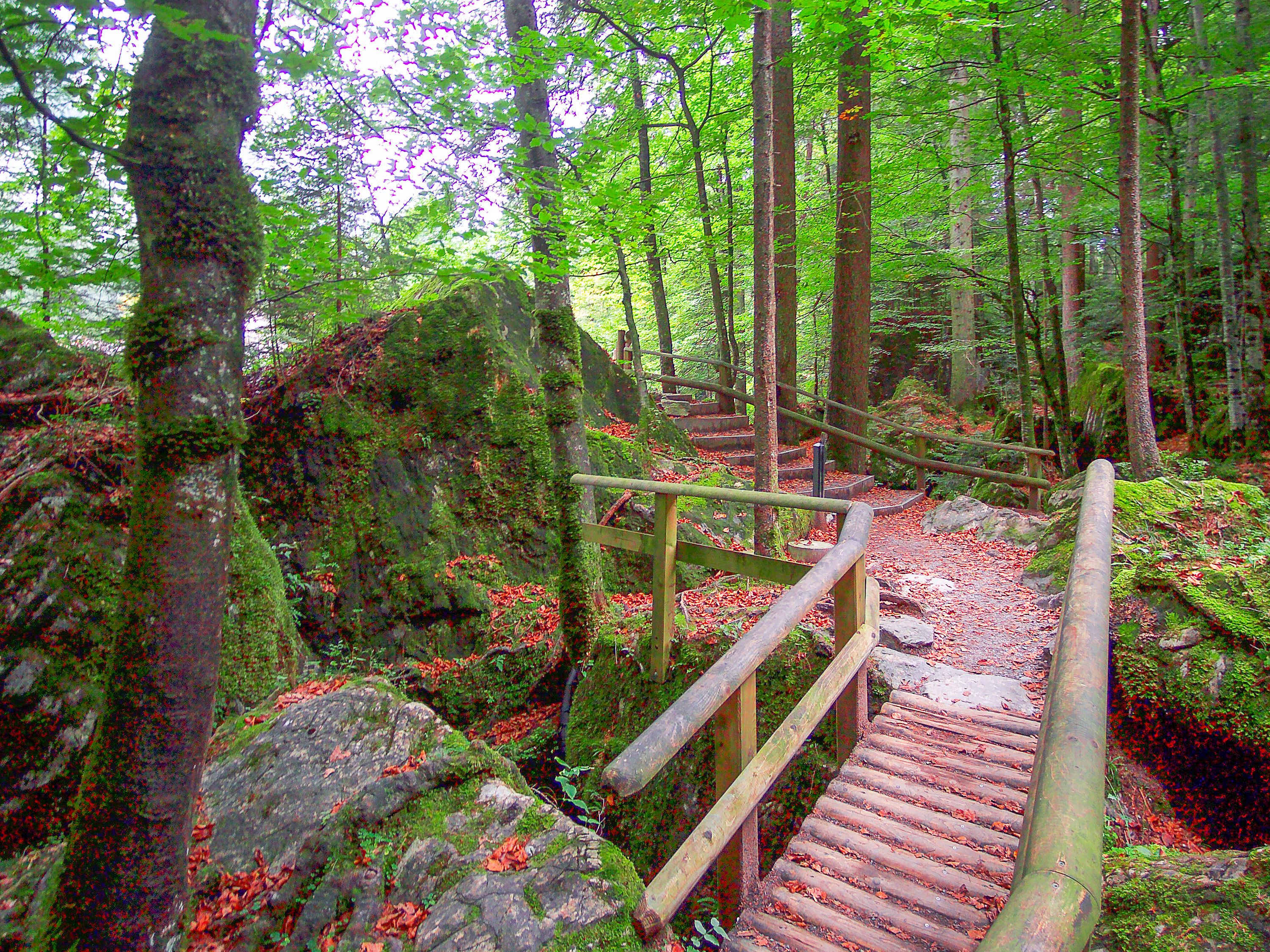 Blausee Wanderweg 