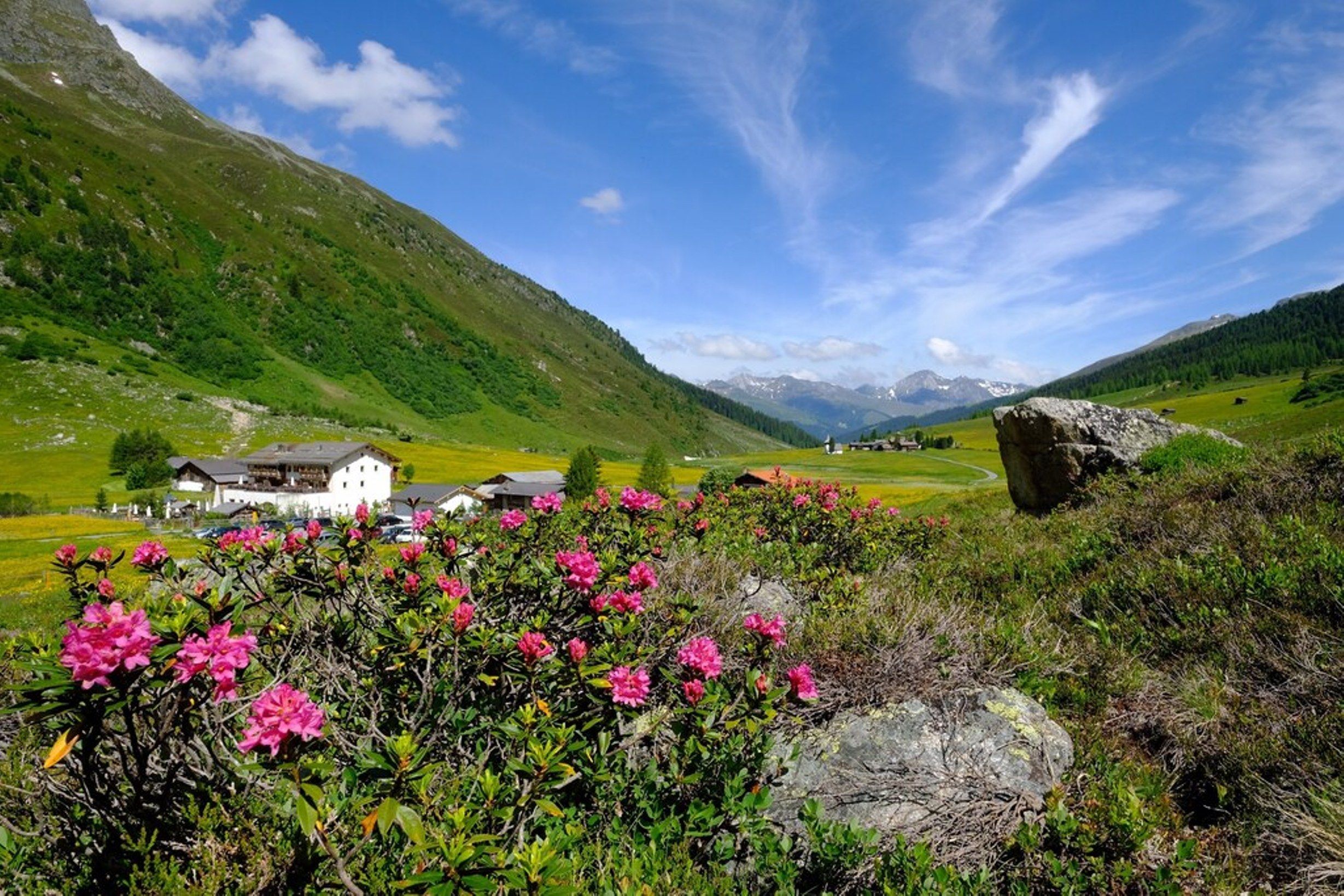 Davos Sertig Walserhaus Kirche Alpenrosen Sommer