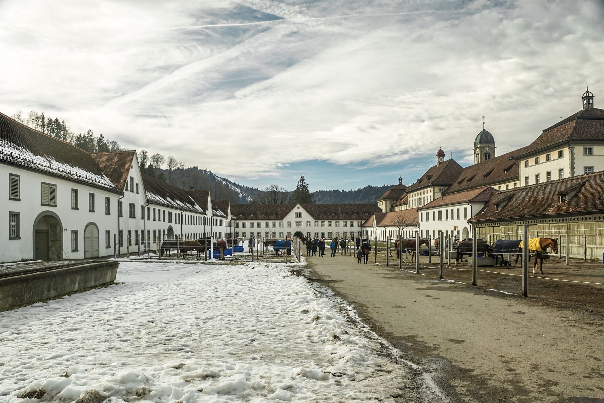 Kloster Einsiedeln Marstall Pferde