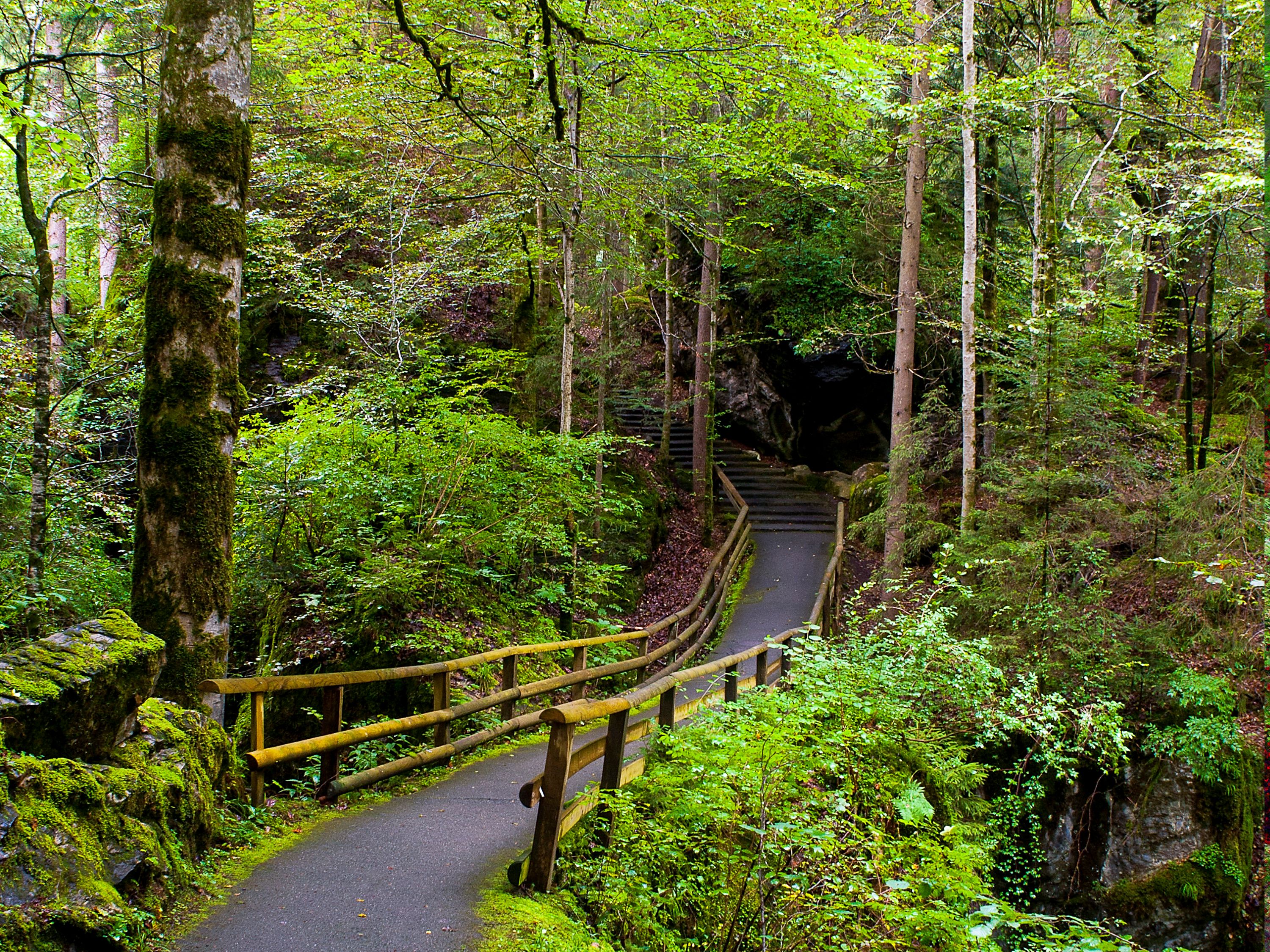 Blausee Wanderweg 