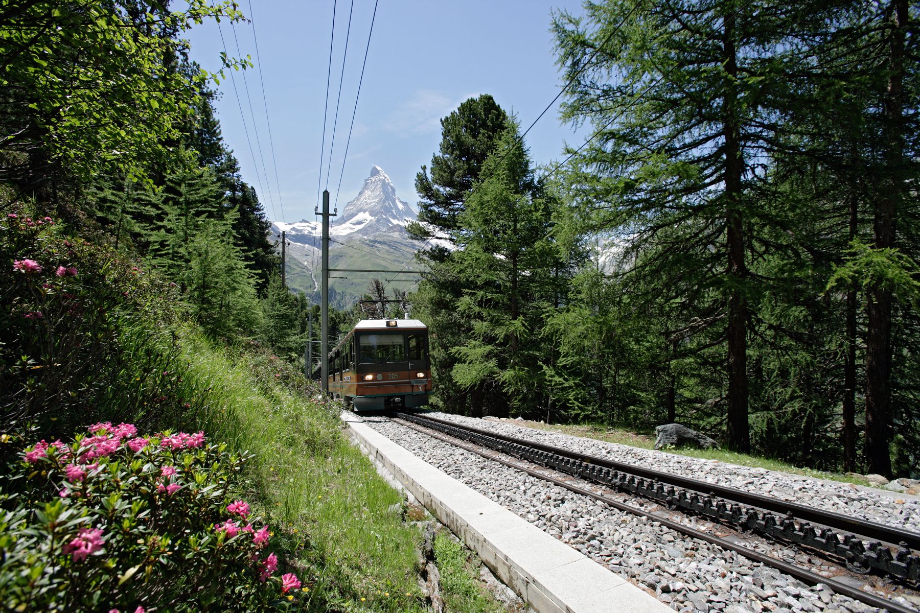 Gornergratbahn mit Matterhorn im Arvenwald