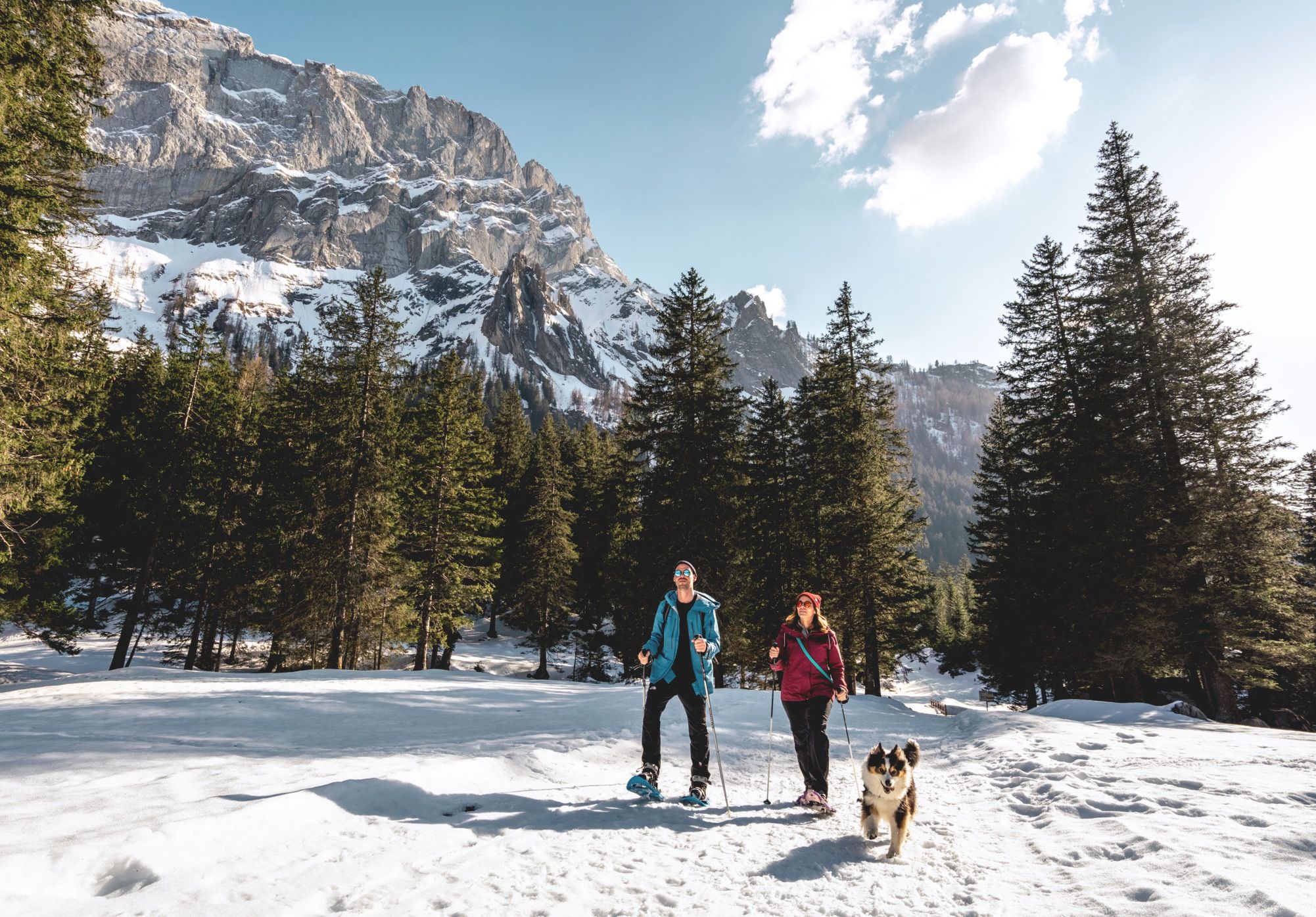 Hund Wandern Winter