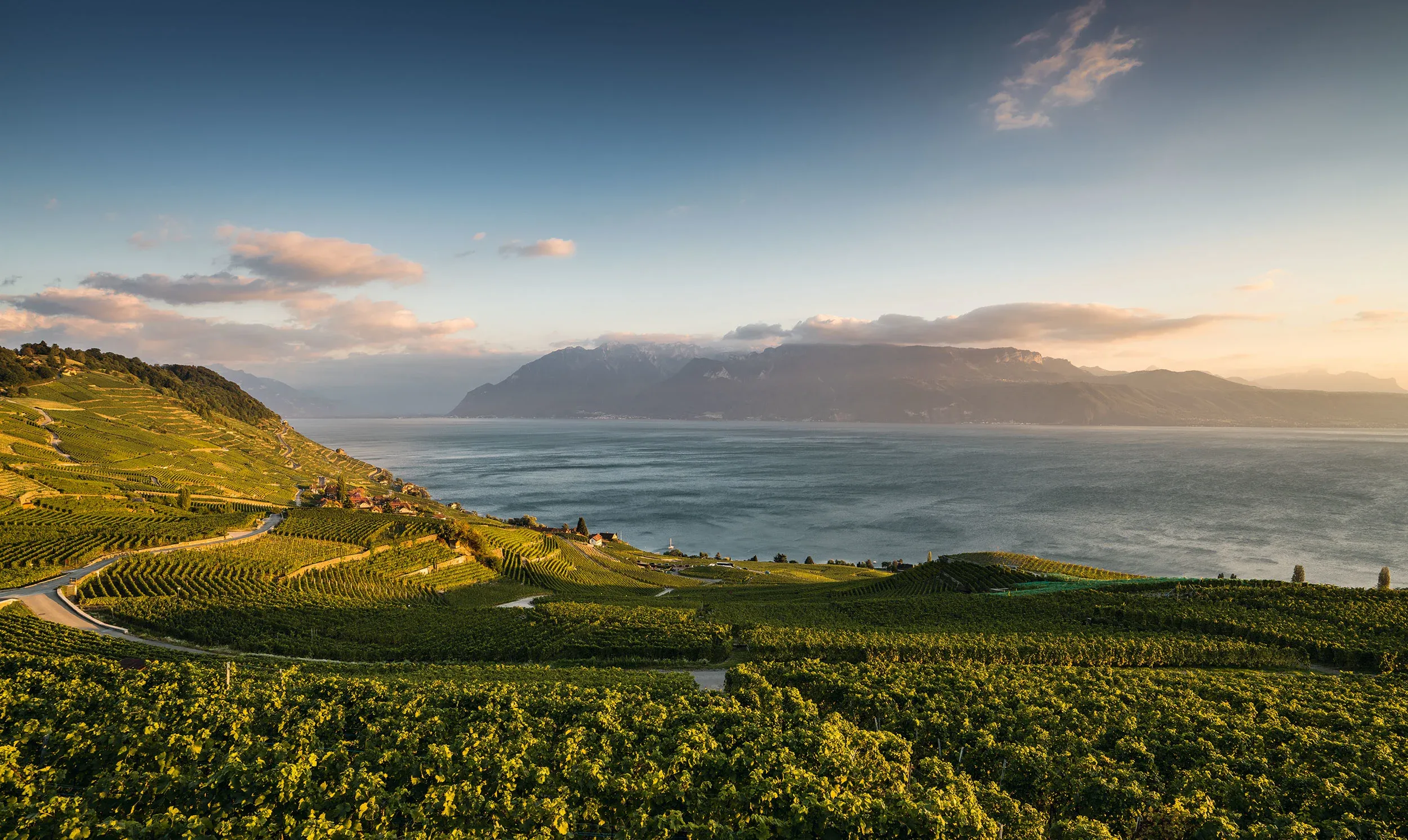 Lausanne Lavaux UNESCO Weinterrassen