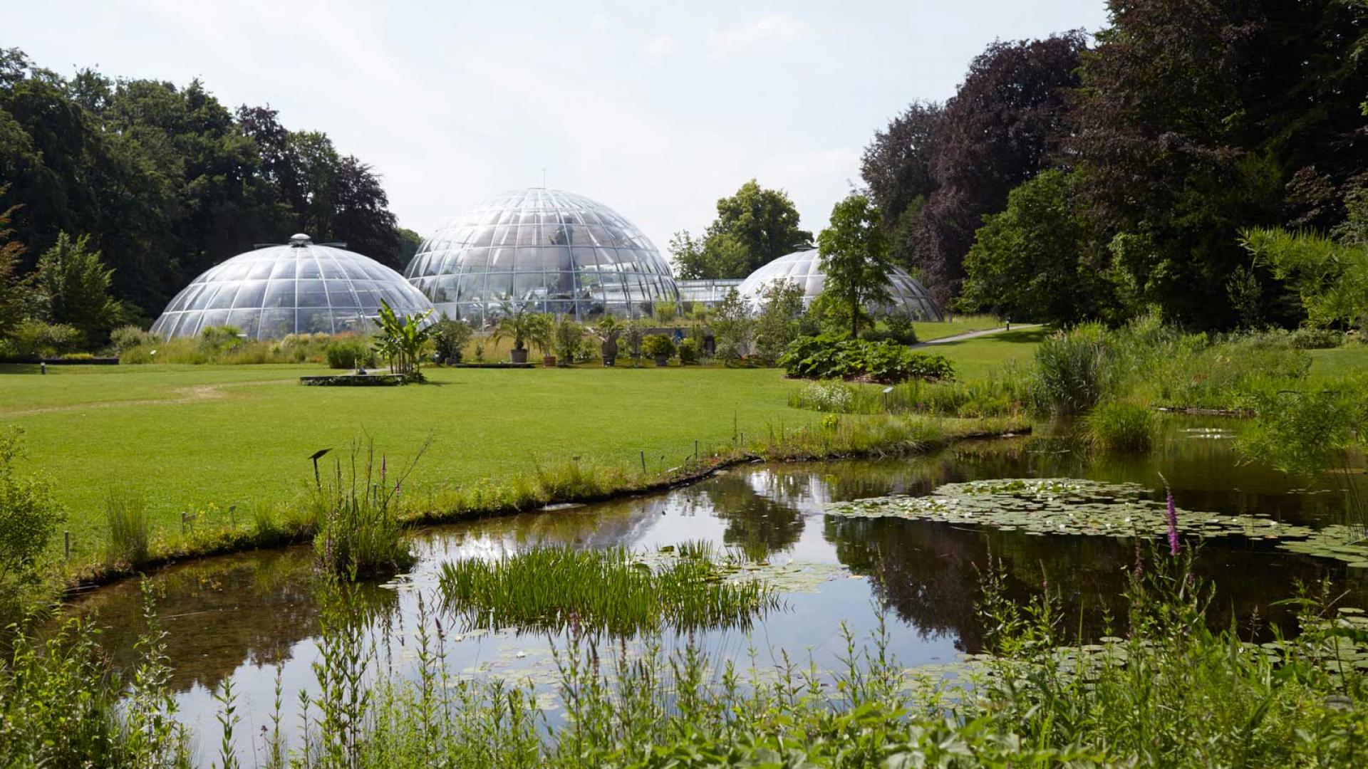 Zürich Botanischer Garten