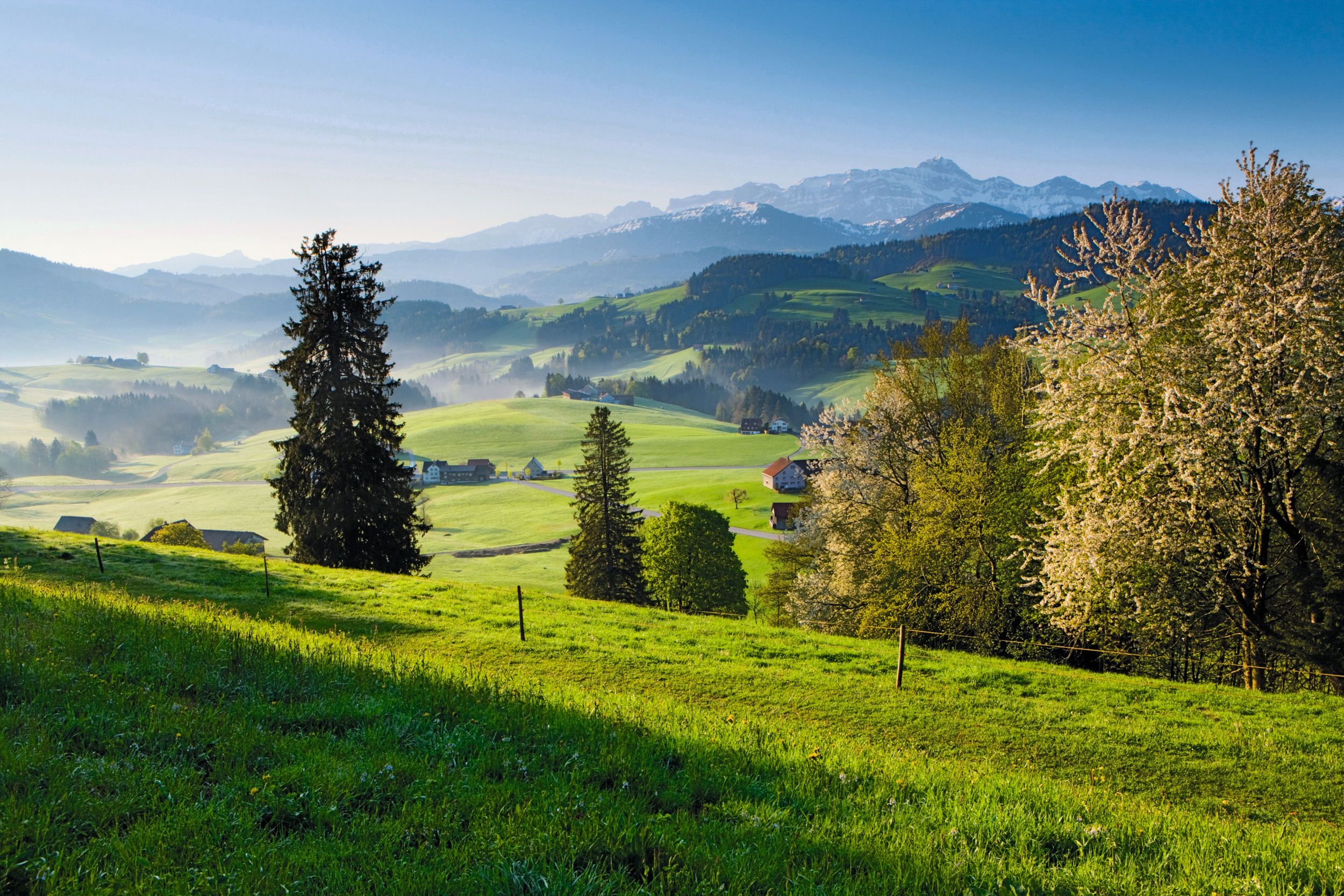 Kronberg Urnaesch