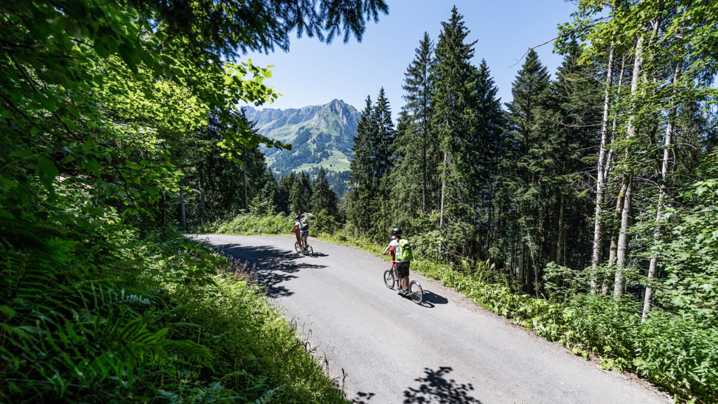 Trübsee Trottibike