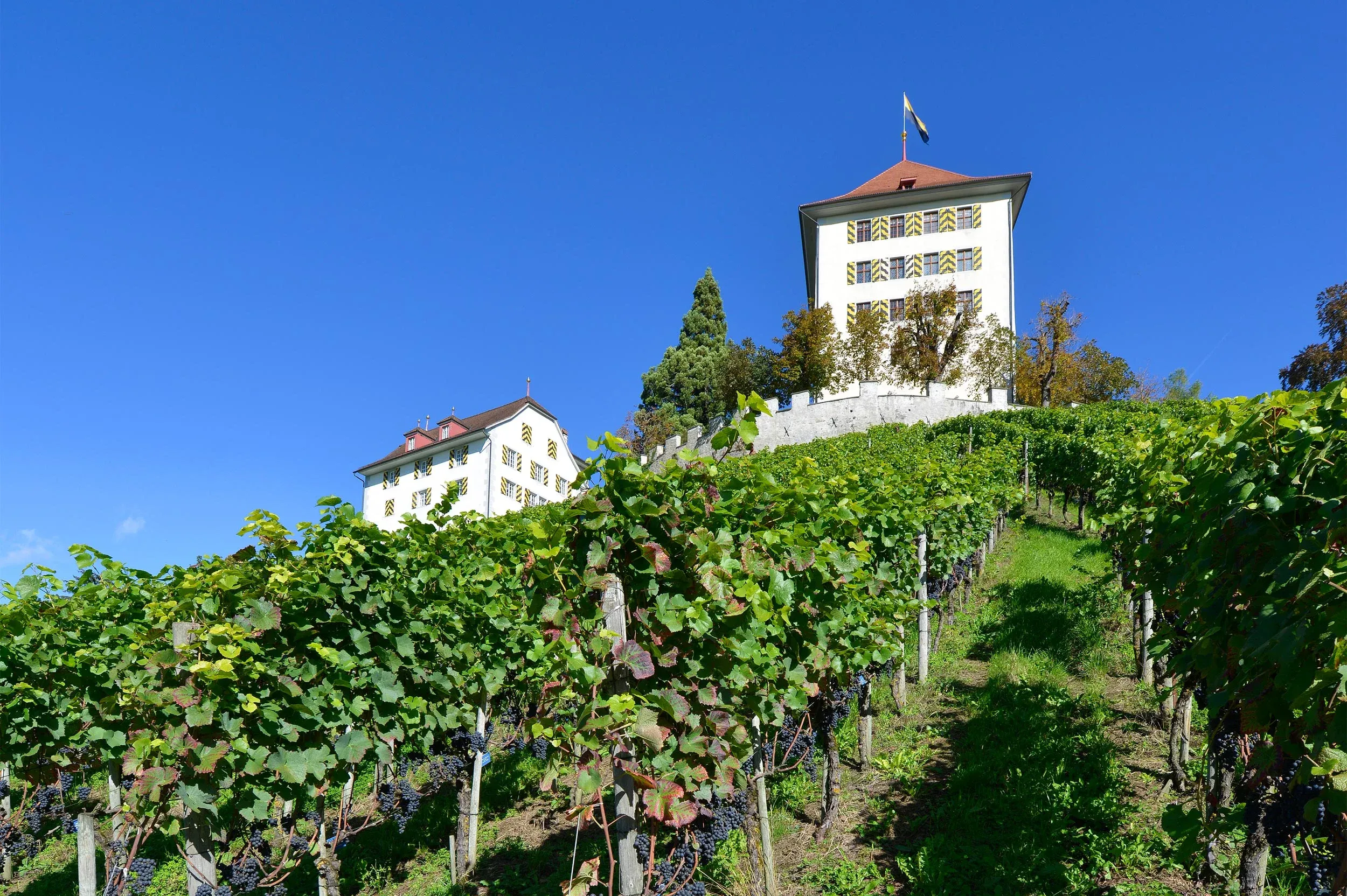 Schlösser Schweiz Schloss Heidegg