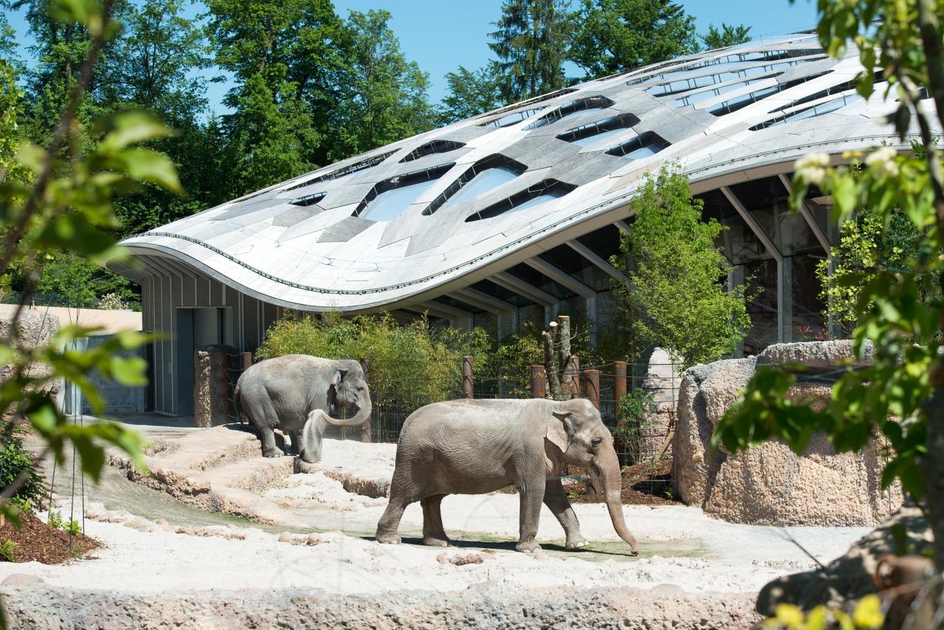 Zürich Zoo