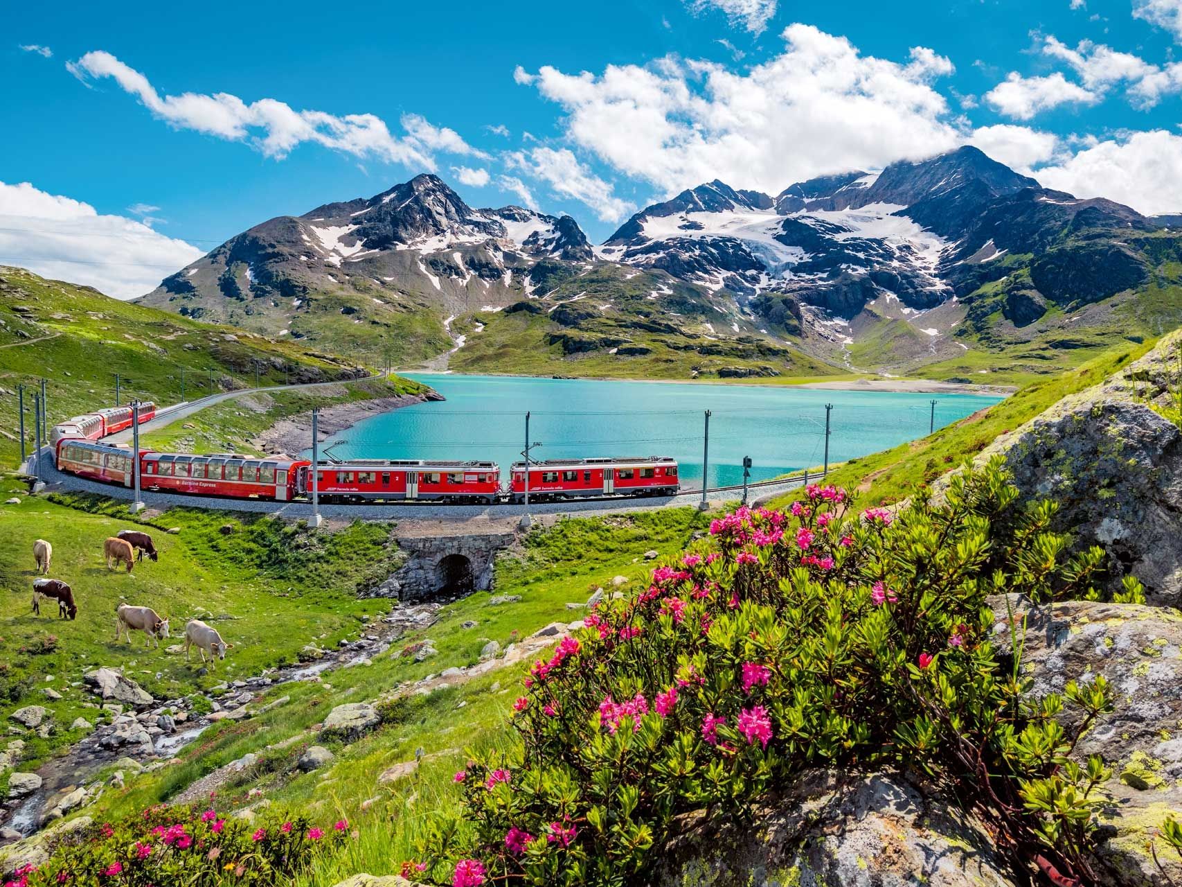 The 5 most beautiful scenic trains in Switzerland | Swiss Activities