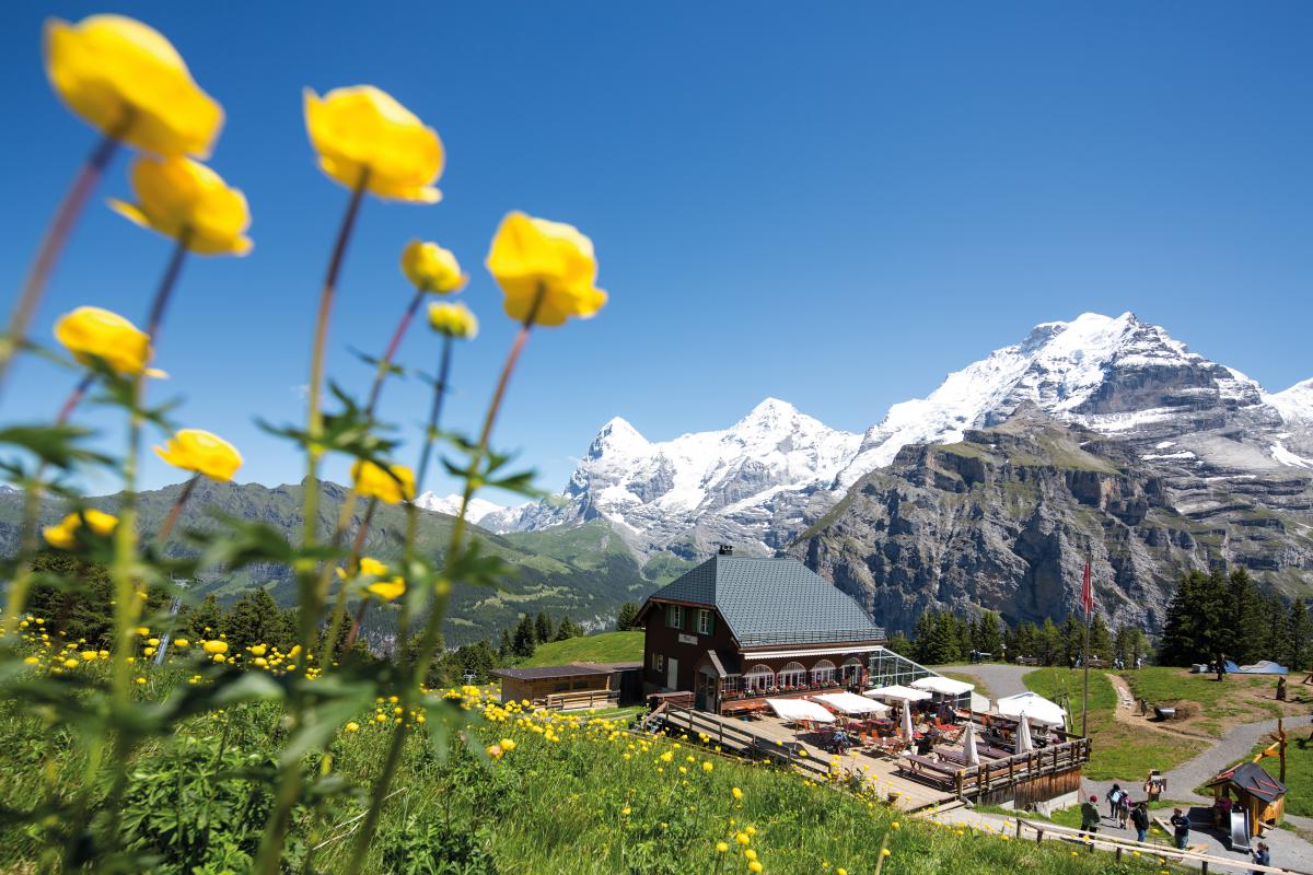 Mürren Allmendhubel