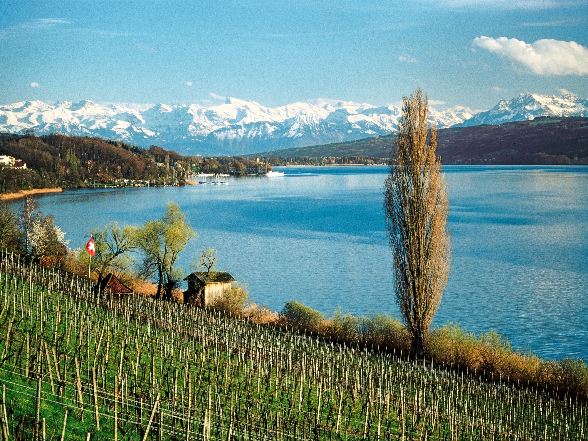 Hallwilersee Schifffahrt
