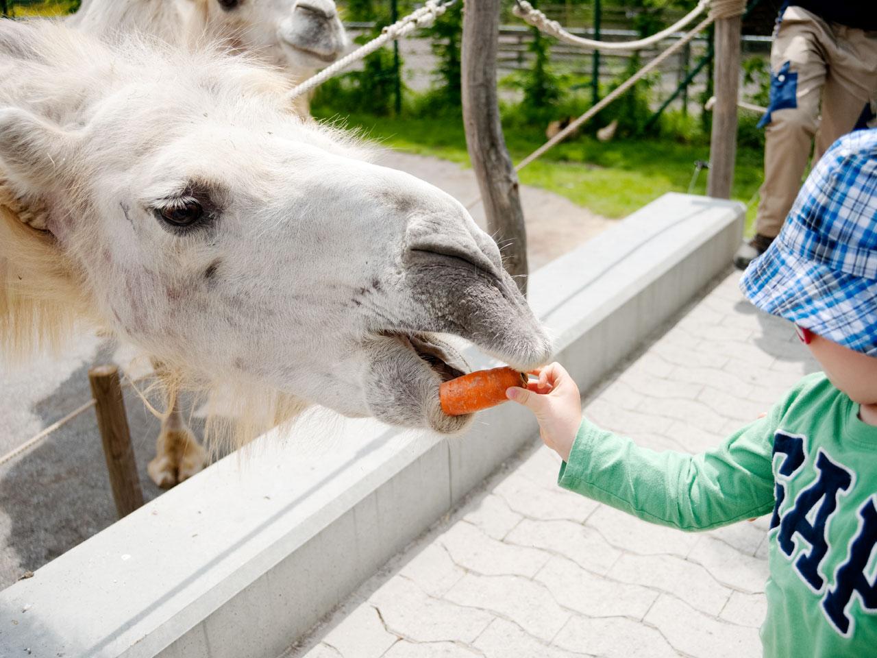 Zürich Zoo