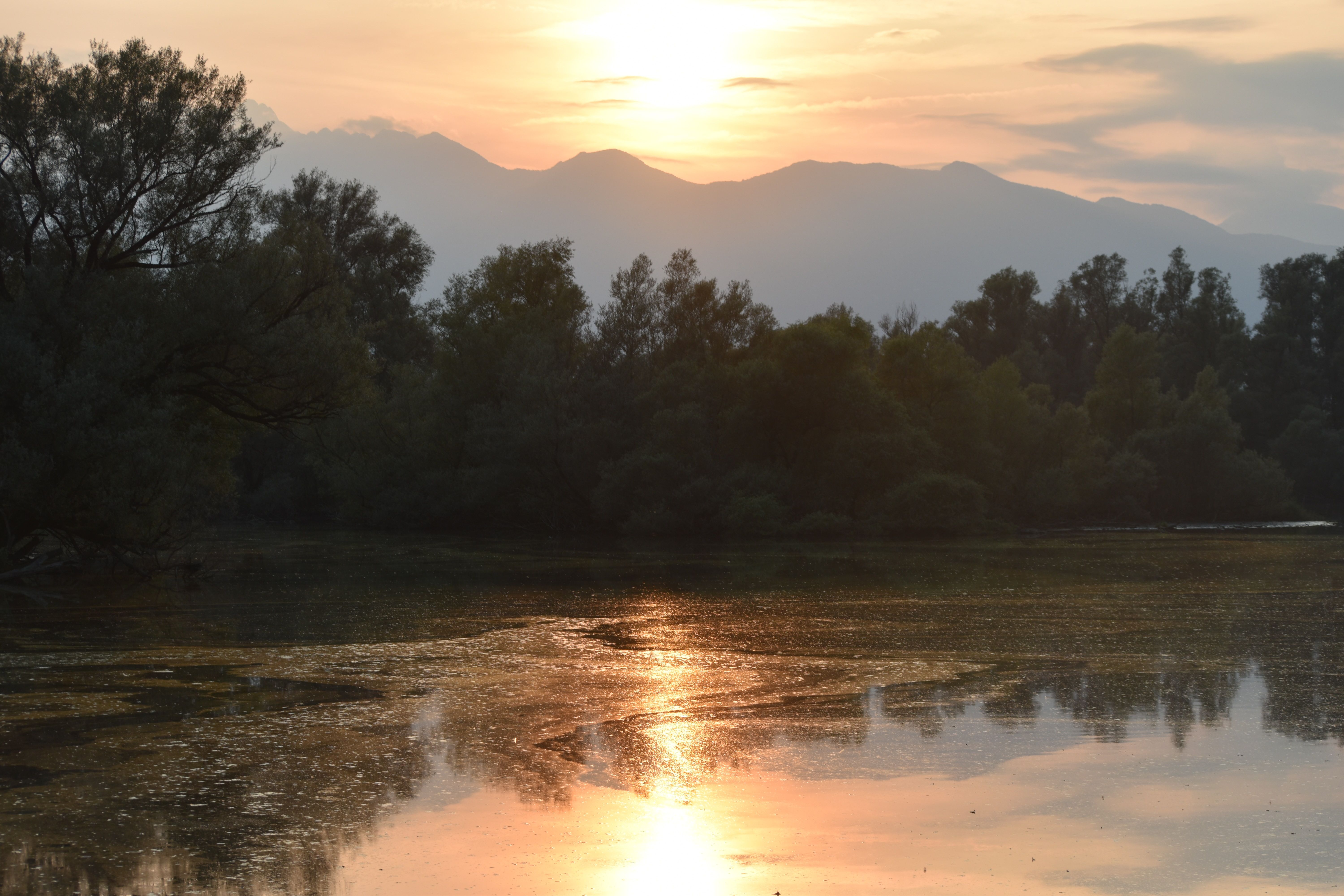 Lago Maggiore