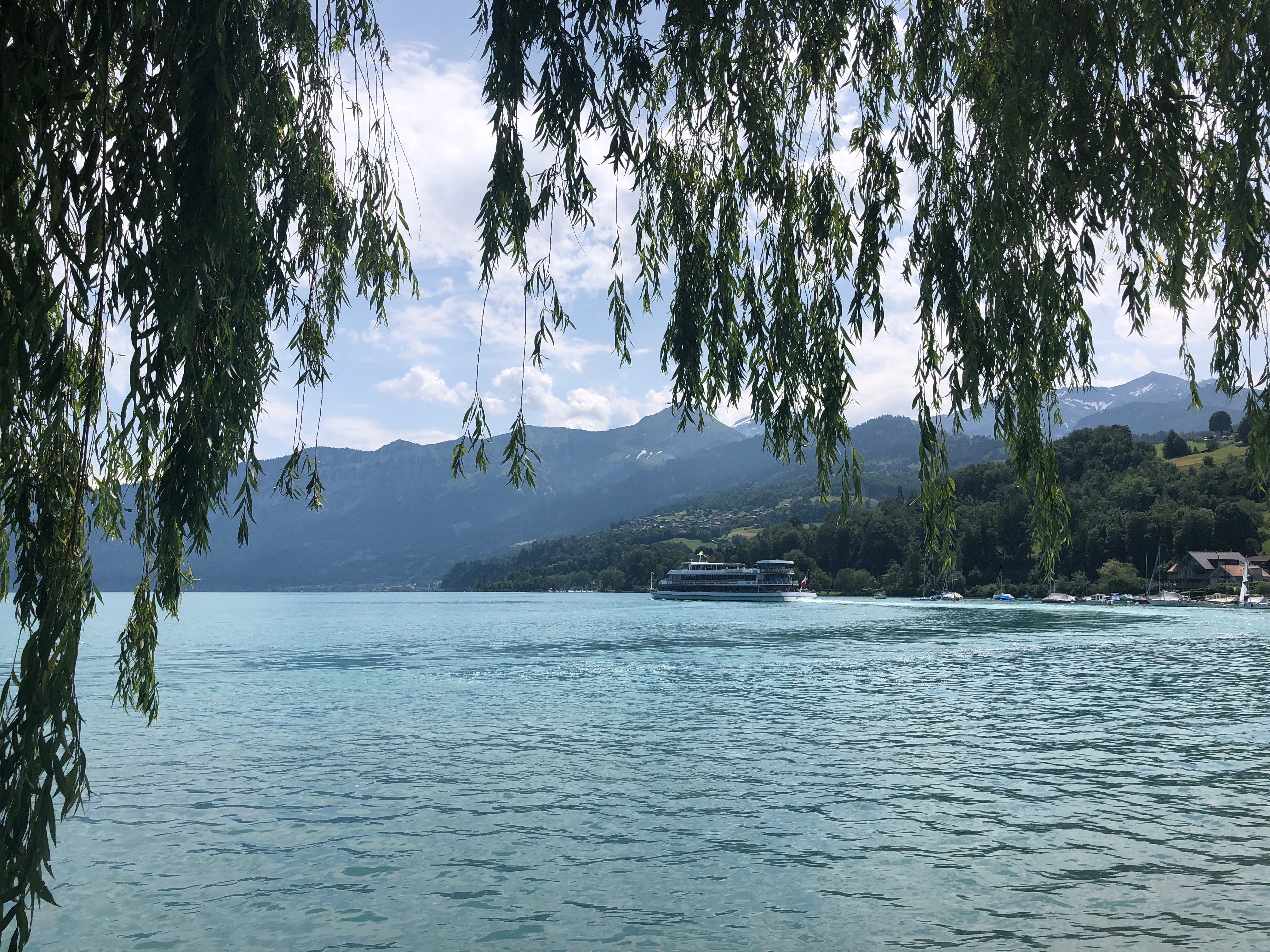 Thunersee Schifffahrt