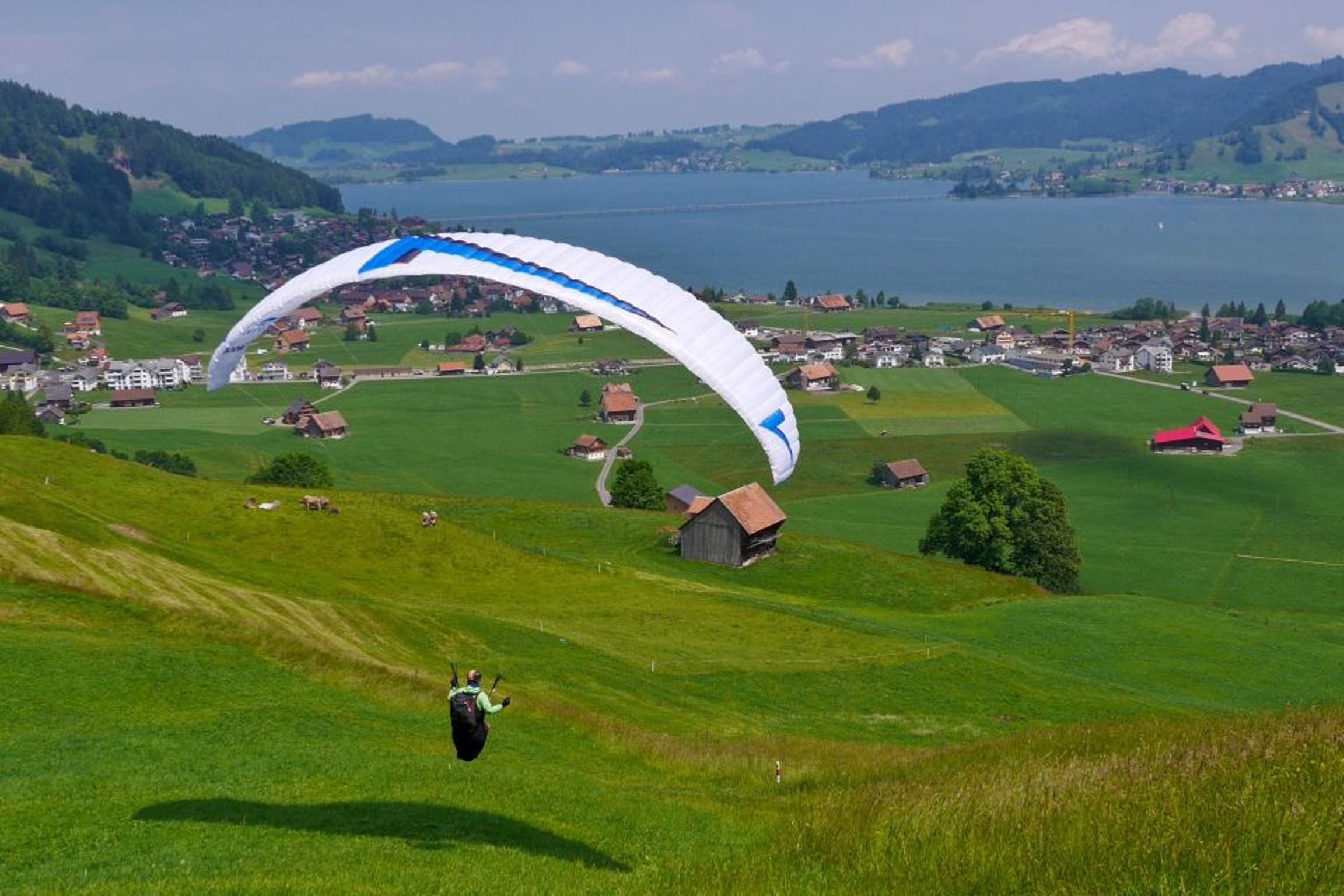 Gleitschirmfliegen Flugschule bei Horgen