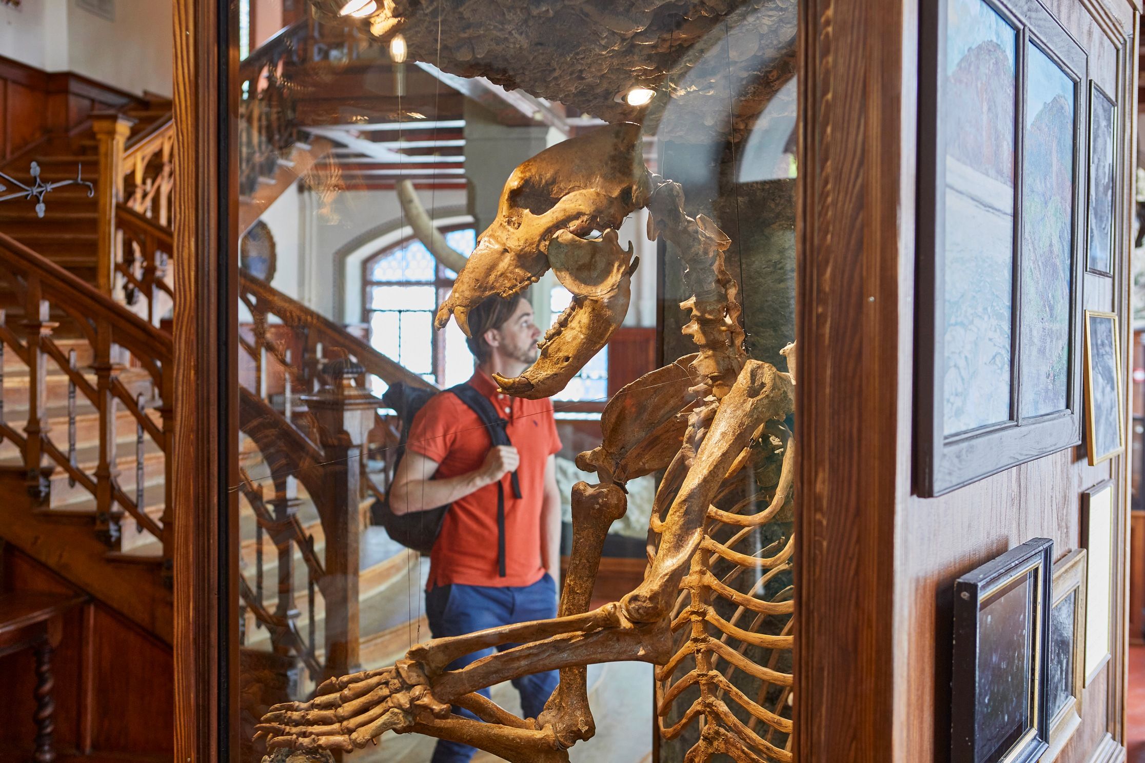 Gletschergarten Luzern Museum Höhlenbär 