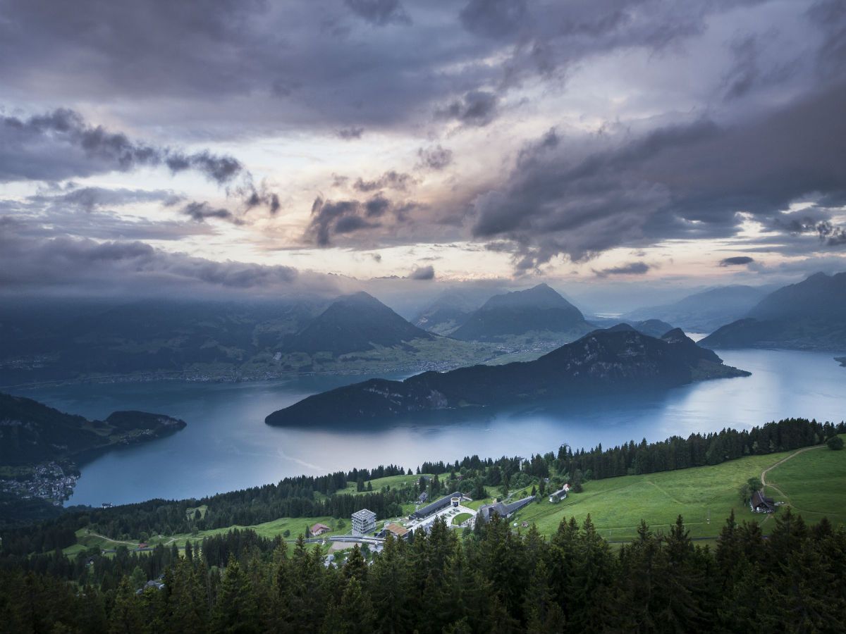 Rigi Rotstock