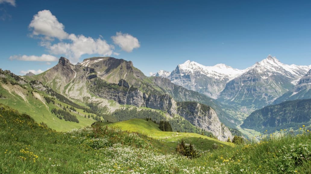 Schynige Platte Panorama