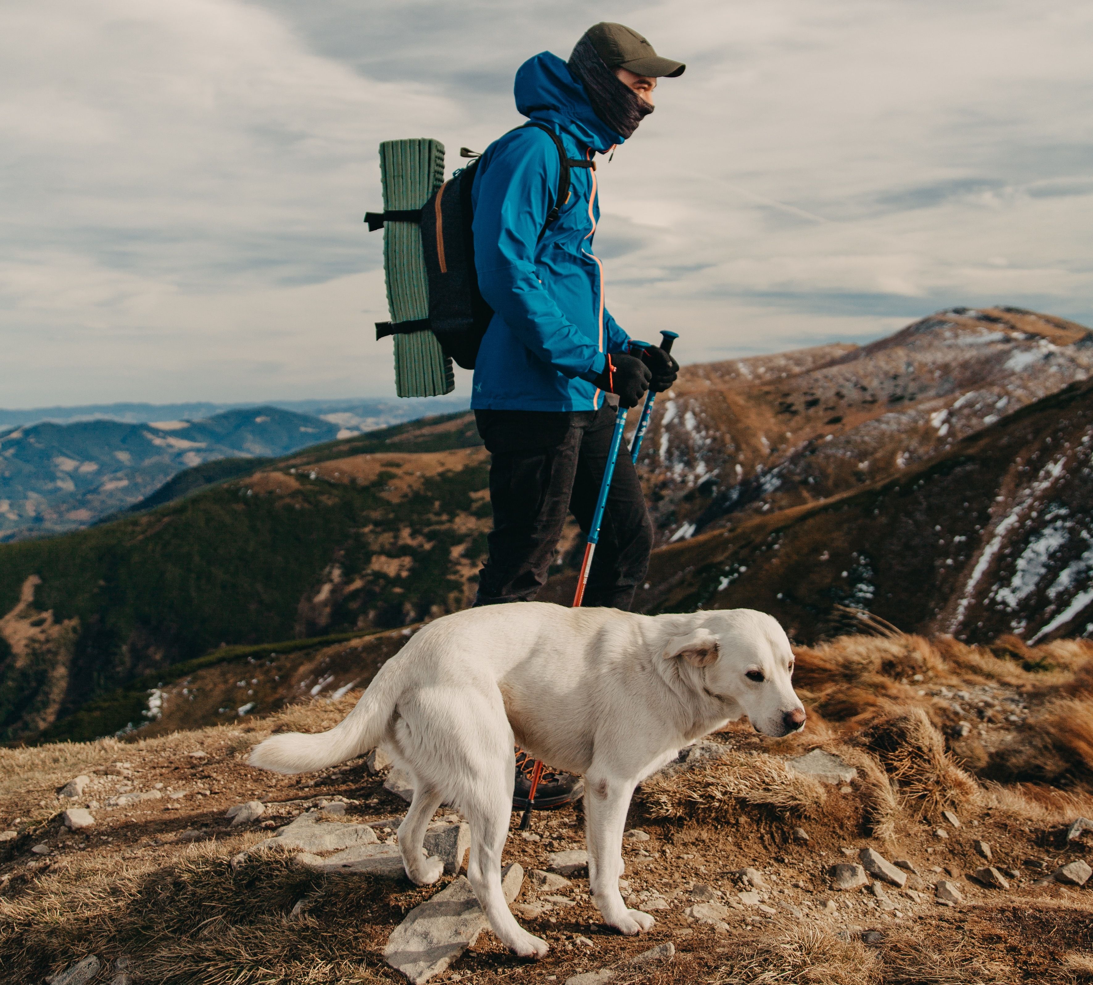 Hund Wandern