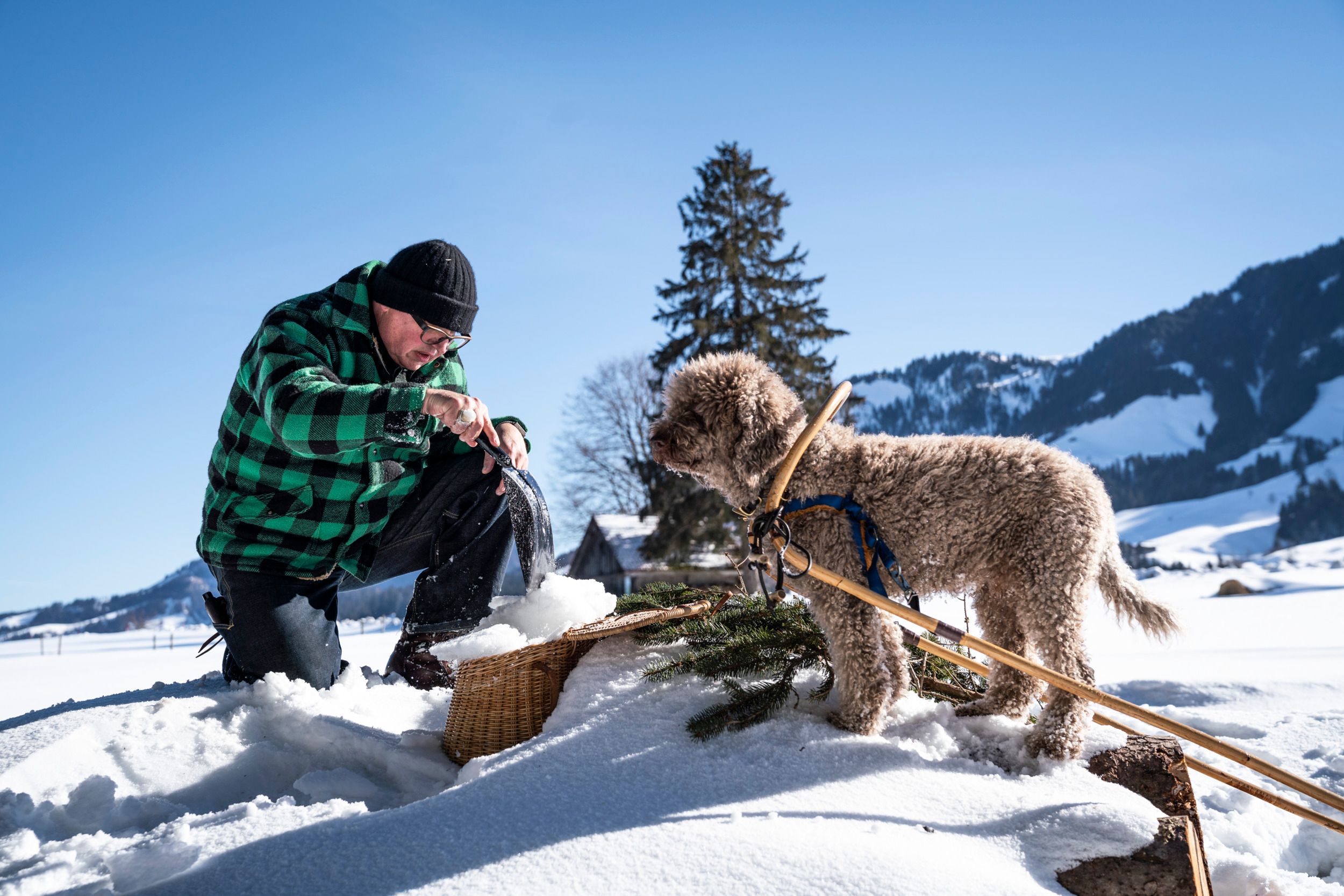 Hund Escholzmatt Wiesners Waldkueche
